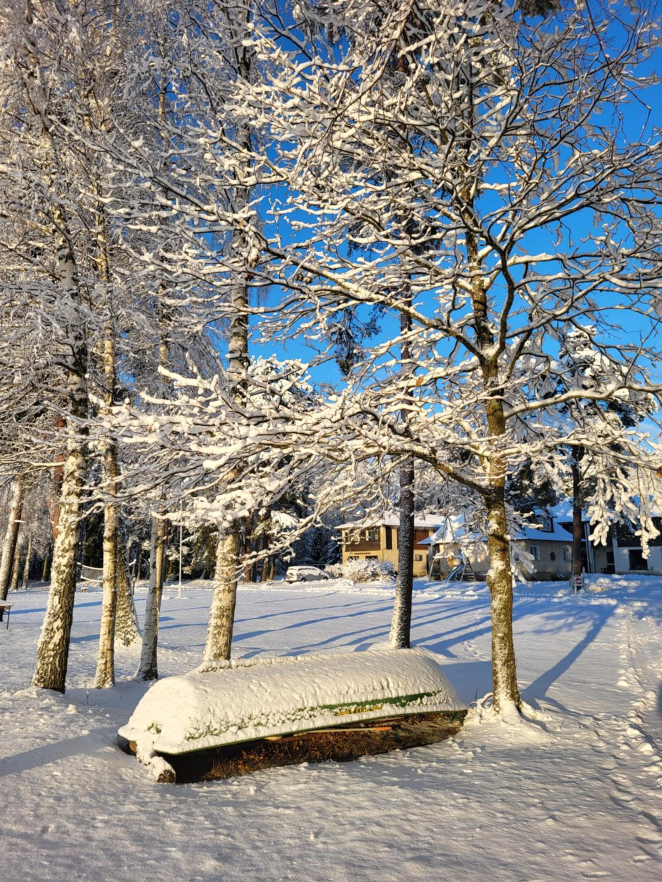 Veldemani puhkemaja