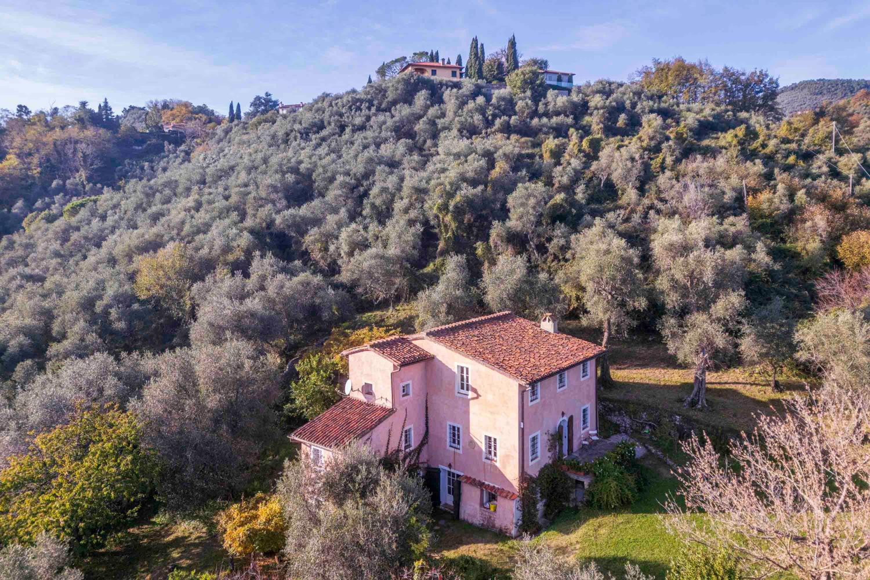 La Casa Dei Limoni, Camaiore, Pet Friendly, Wifi view 3