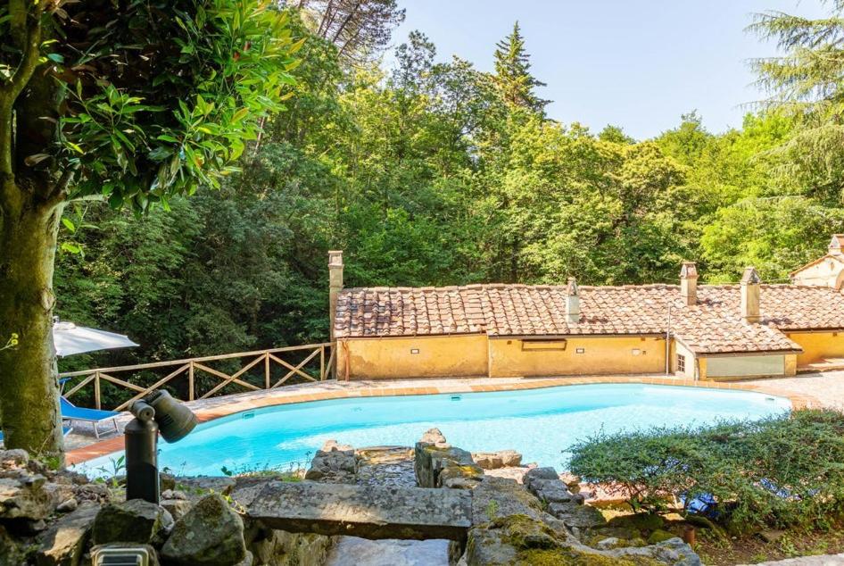 Molin Barletta, Private Pool, Nature - Marliana, Toscana view 3