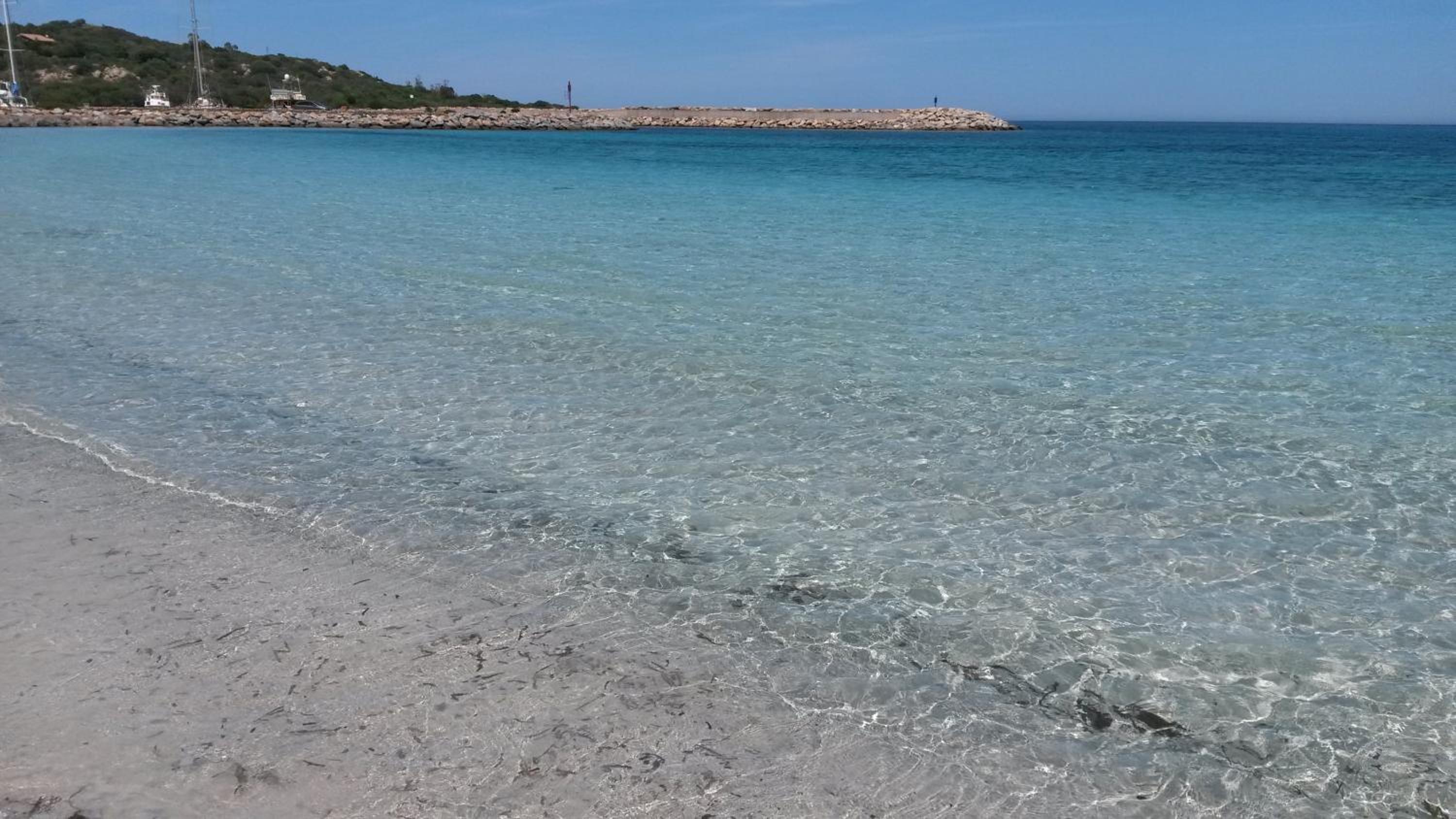 Orsa Maggiore Ottiolu