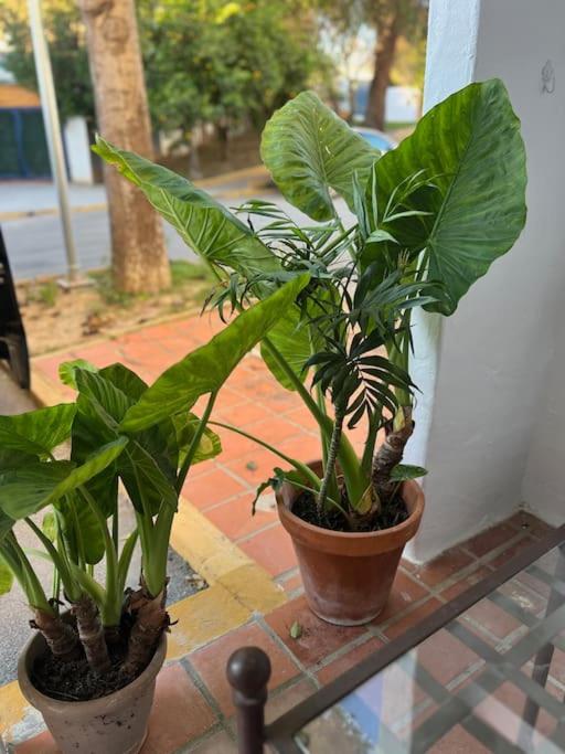 Apartamento a 8km Sevilla centro