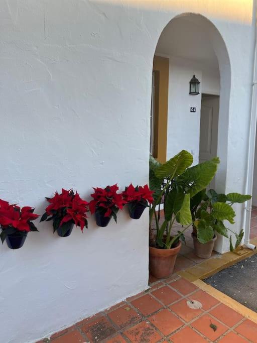 Apartamento a 8km Sevilla centro