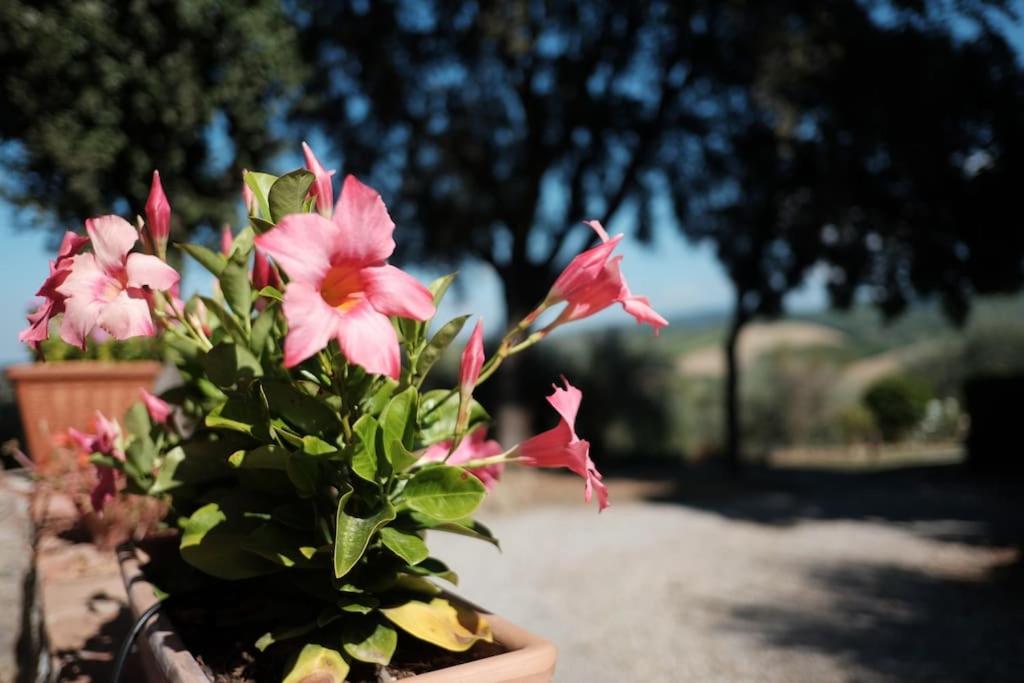 Tuopina Chianti House