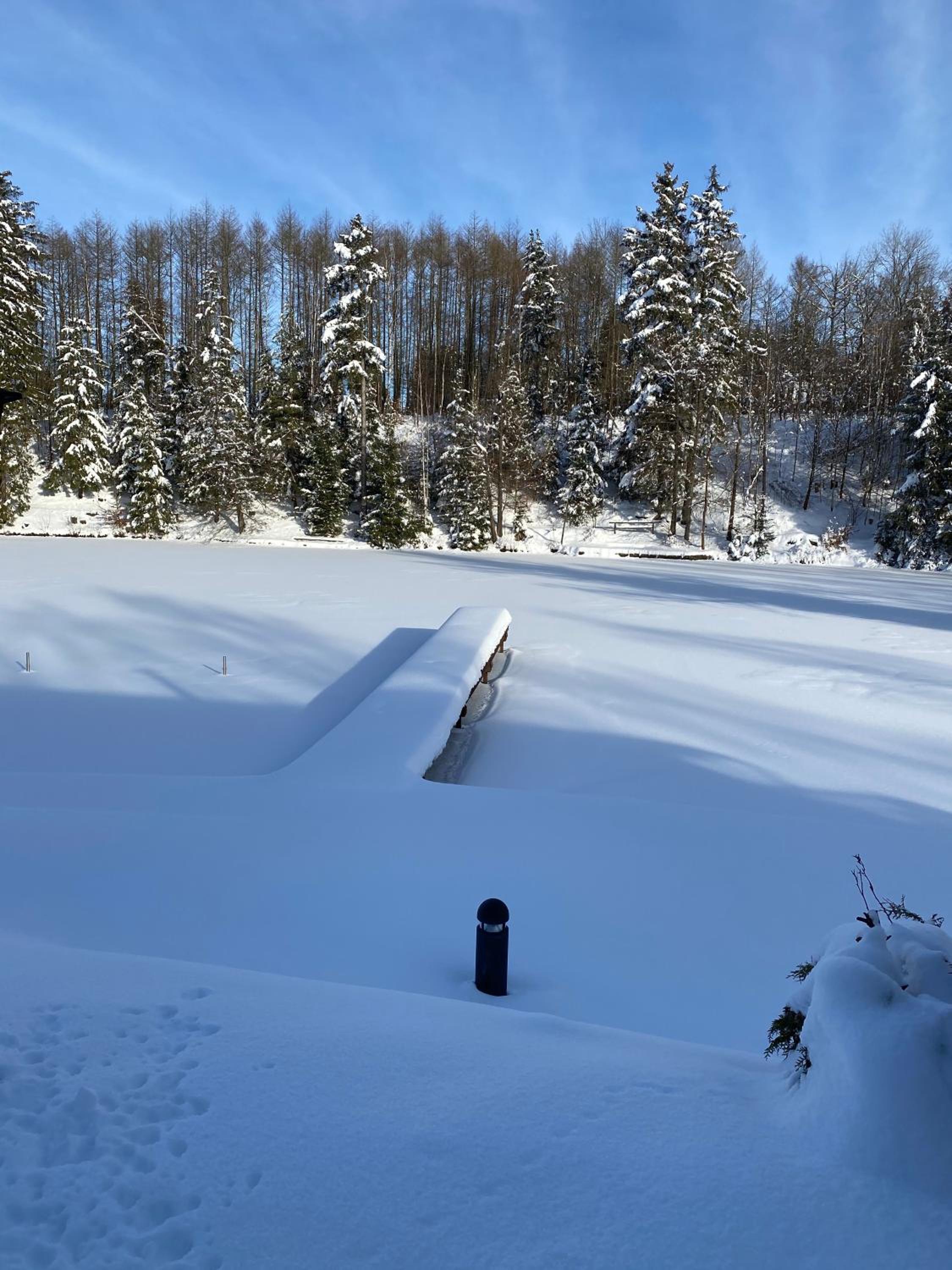 Das Waldseechalet Traumhafter Waldseeblick - großzügige Wohnung - Infrarotsauna
