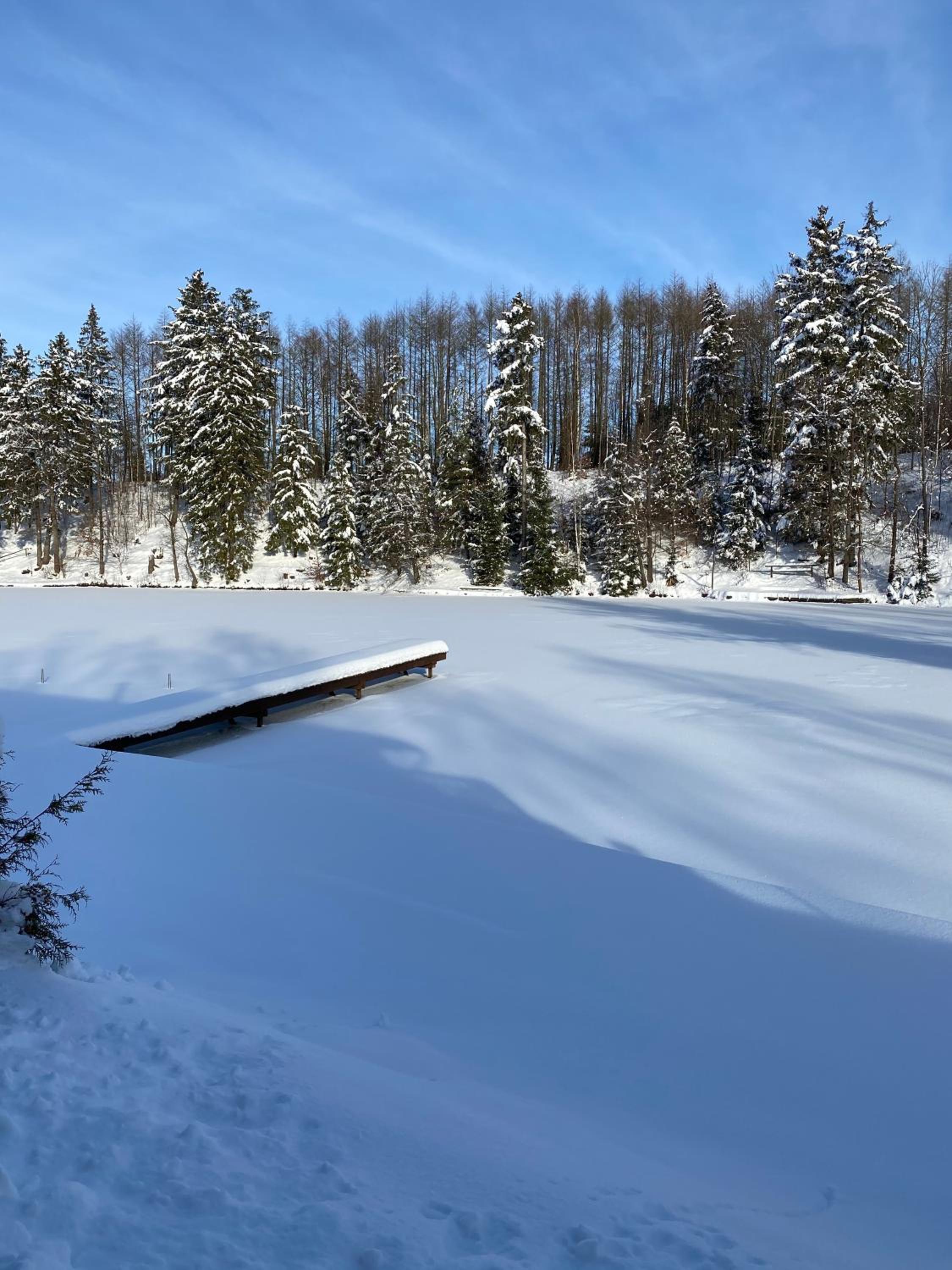 Das Waldseechalet Traumhafter Waldseeblick - großzügige Wohnung - Infrarotsauna