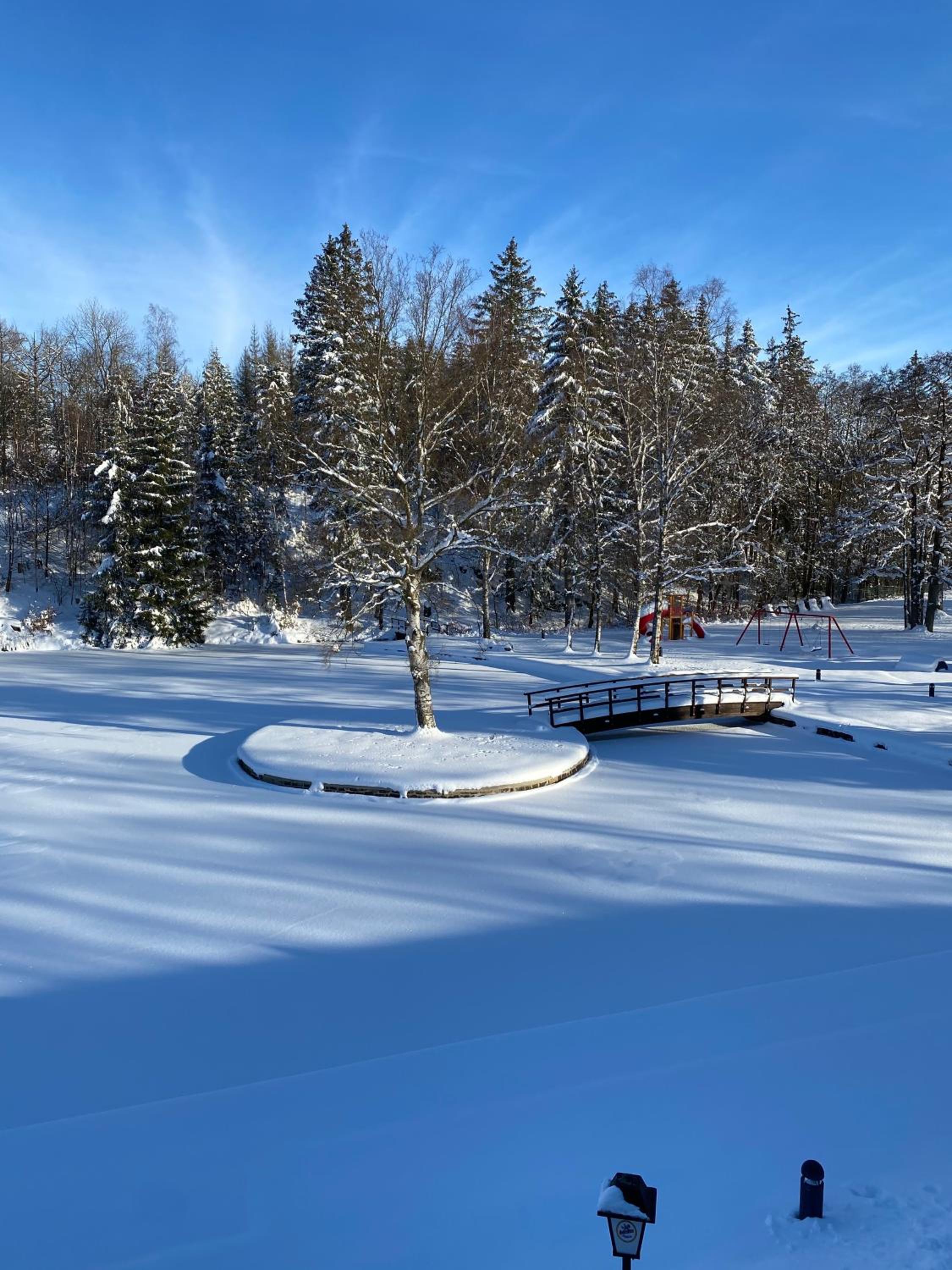 Das Waldseechalet Traumhafter Waldseeblick - großzügige Wohnung - Infrarotsauna