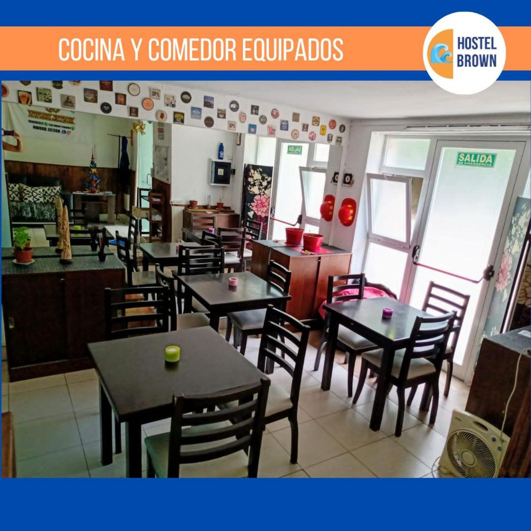 Hostel Brown