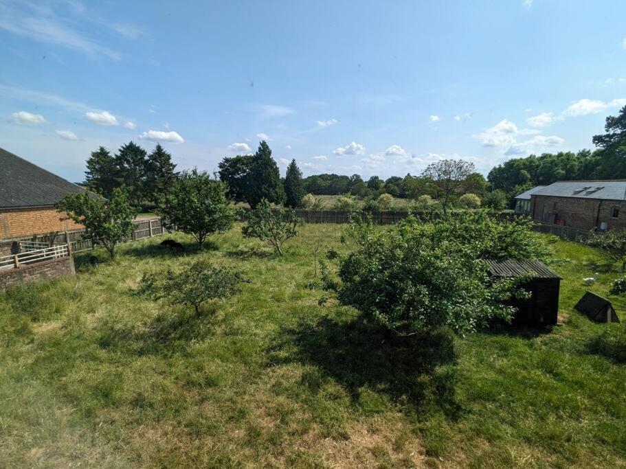 Photo 21