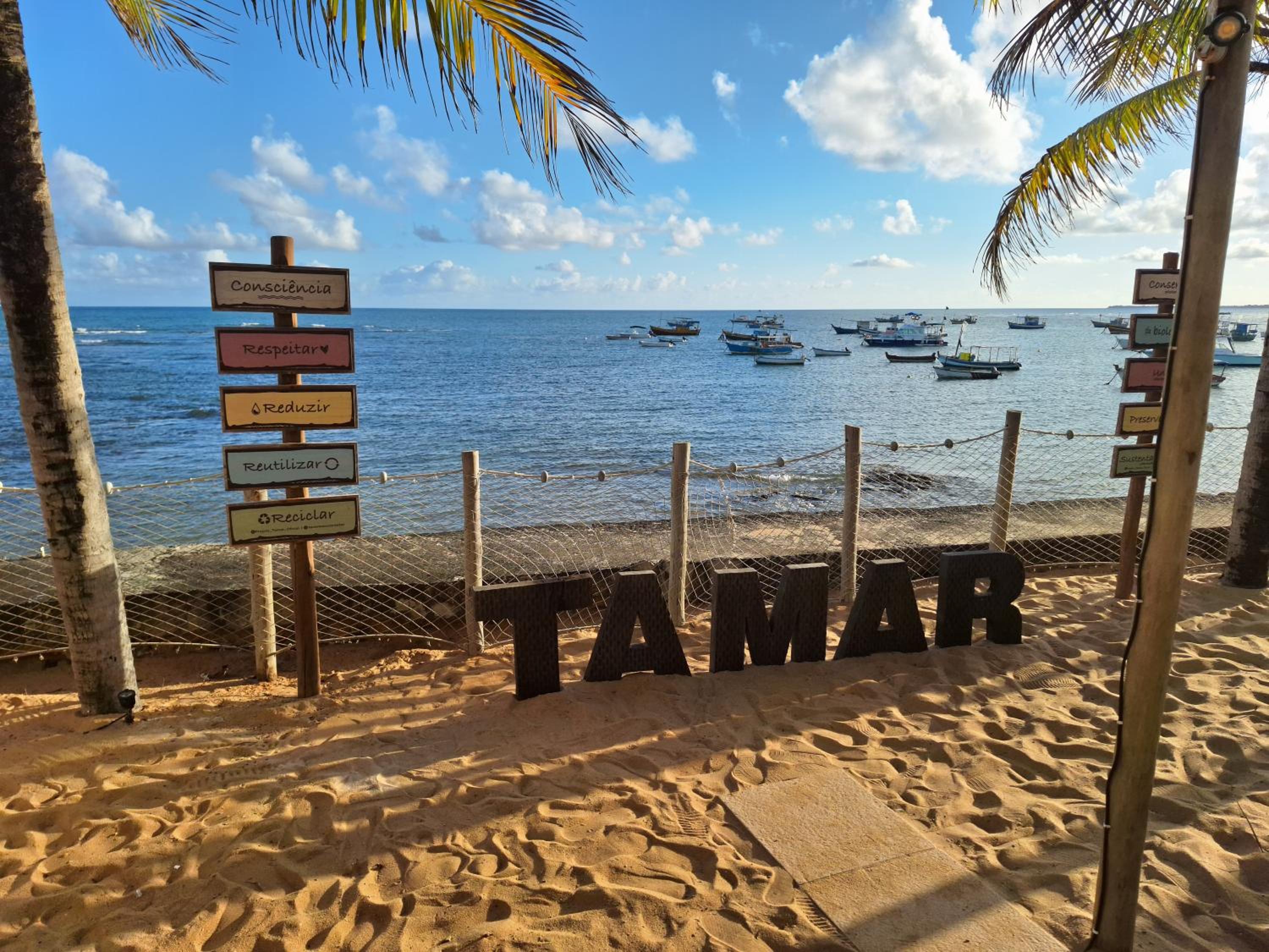 Praia do forte próximo ao projeto Tamar!!!!