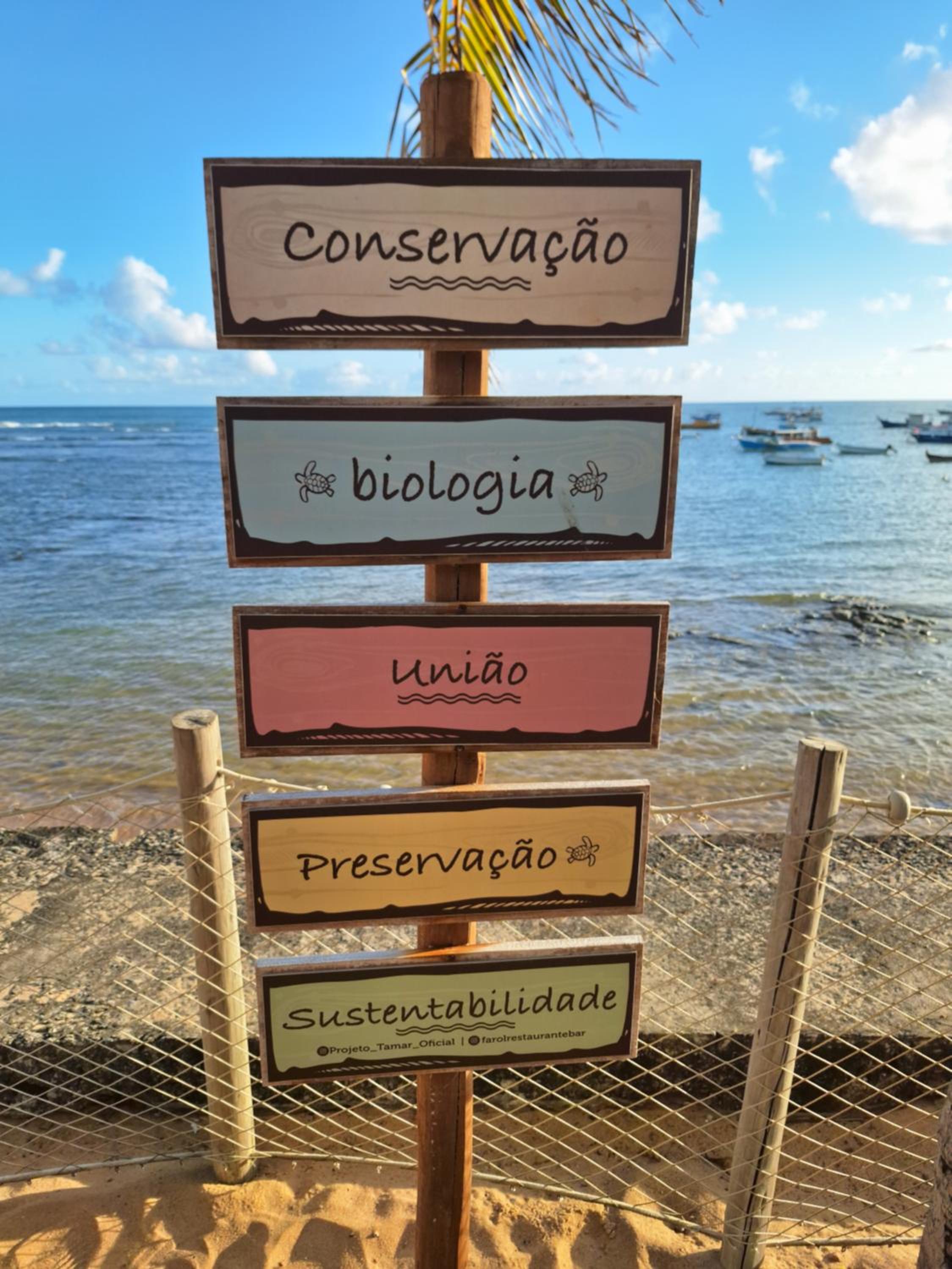 Praia do forte próximo ao projeto Tamar!!!!