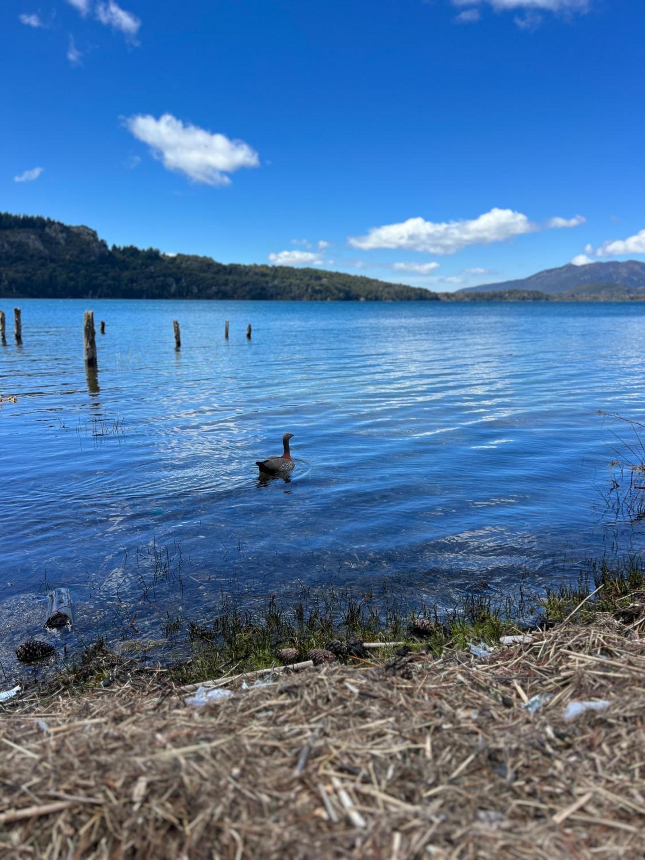 Apartments Bariloche - Moreno Lake