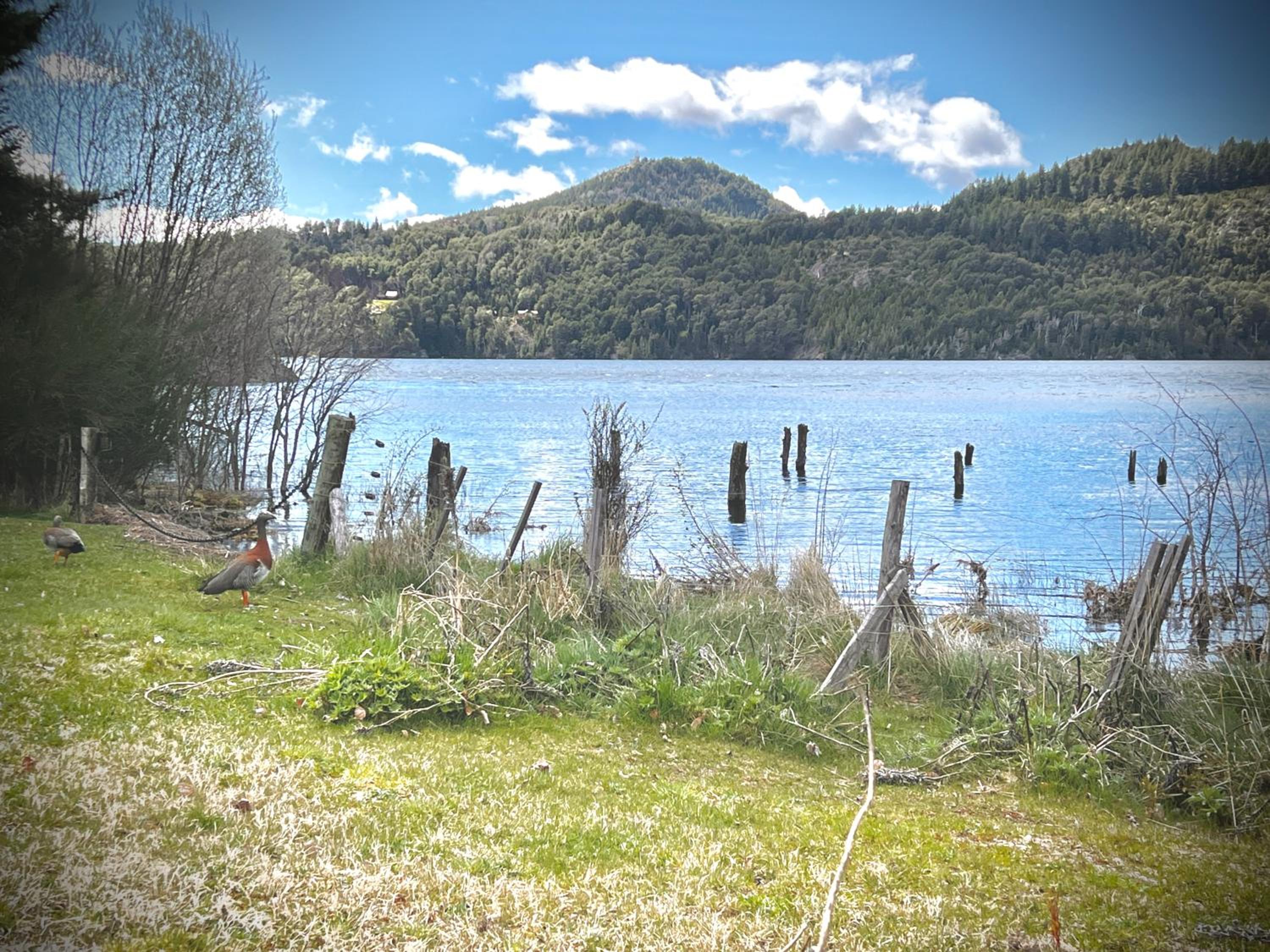Apartments Bariloche - Moreno Lake