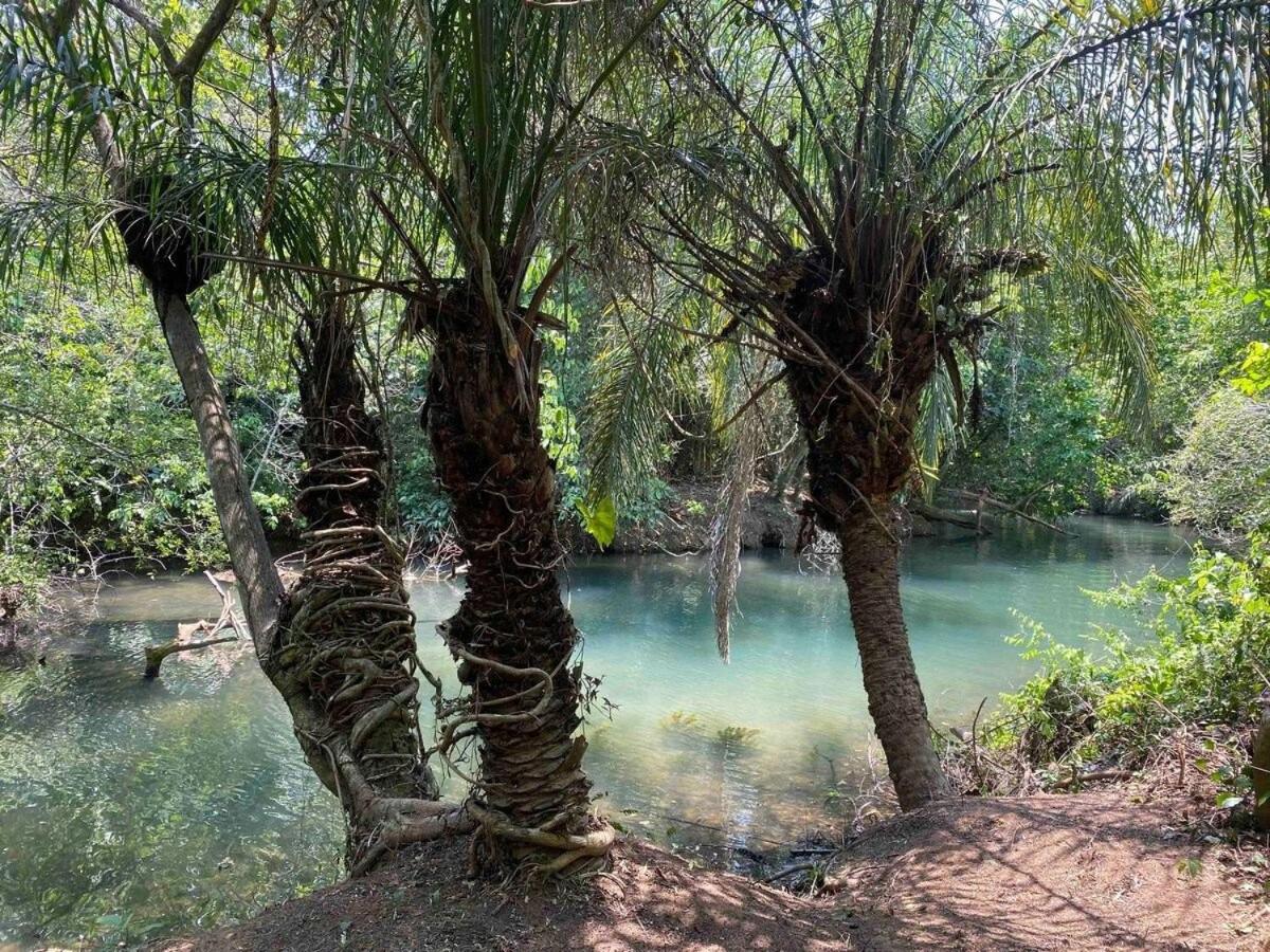 Chalés Pocoó com rio exclusivo