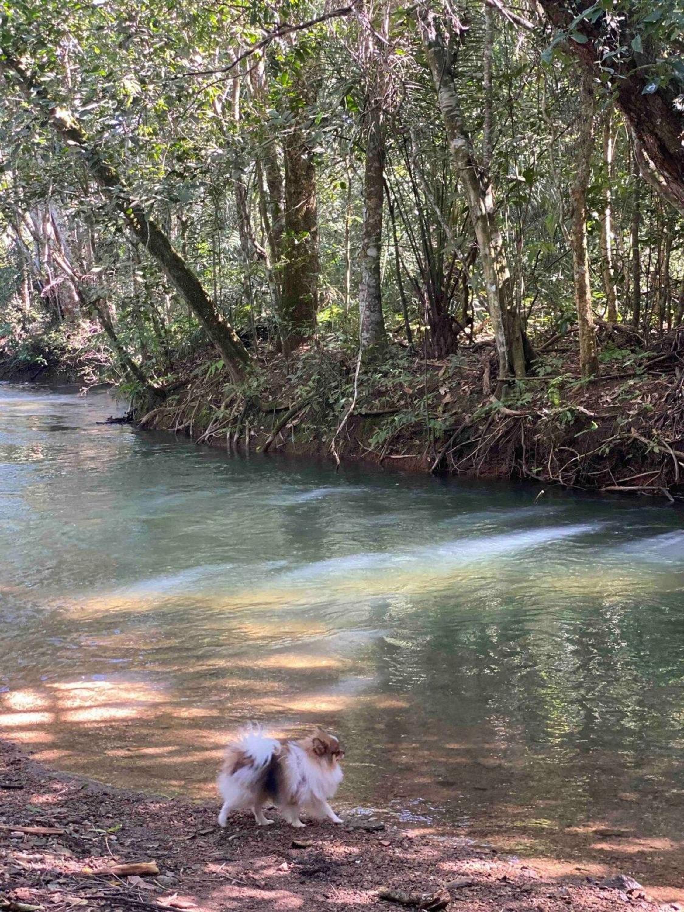 Chalés Pocoó com rio exclusivo
