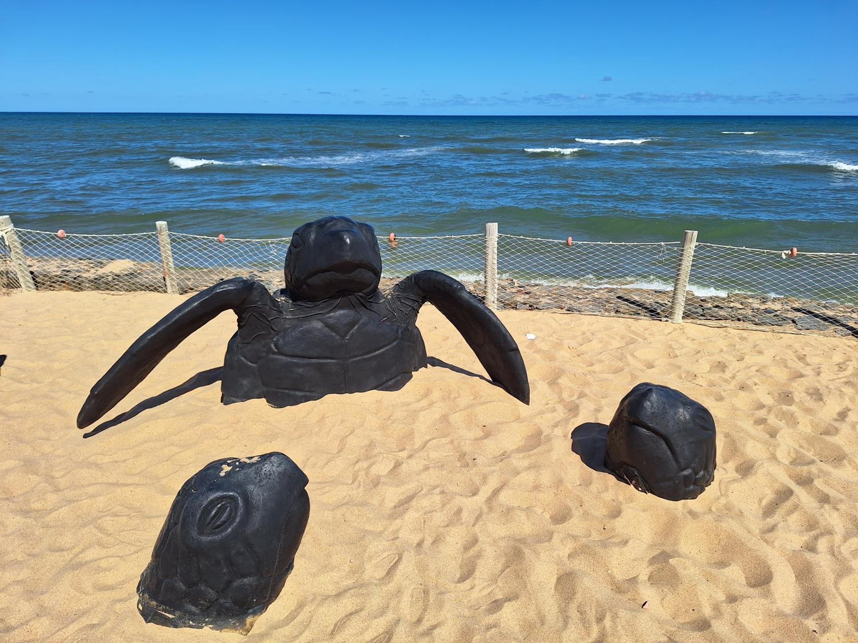 Praia do forte próximo ao projeto Tamar!!!!