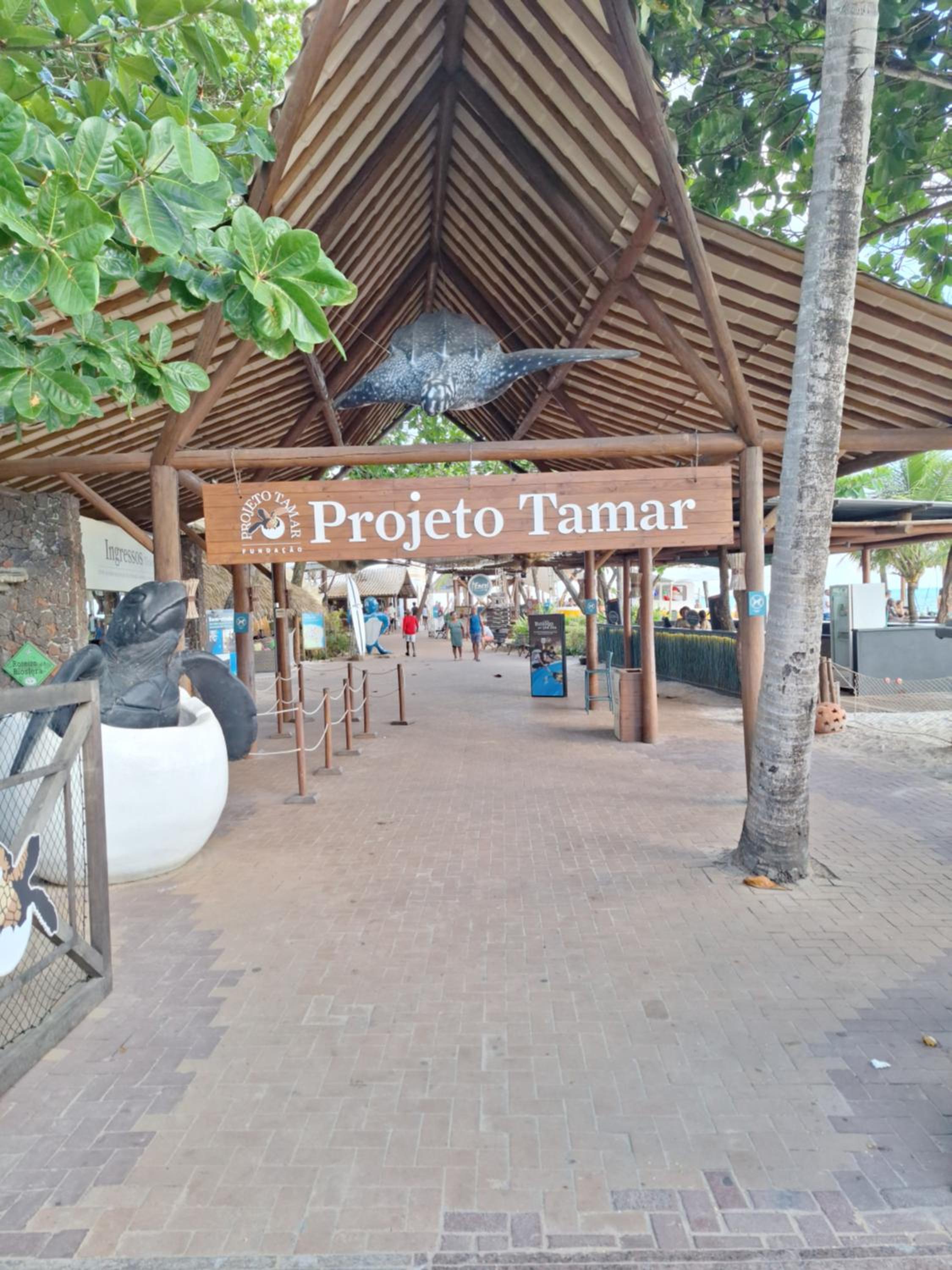 Praia do forte próximo ao projeto Tamar!!!!