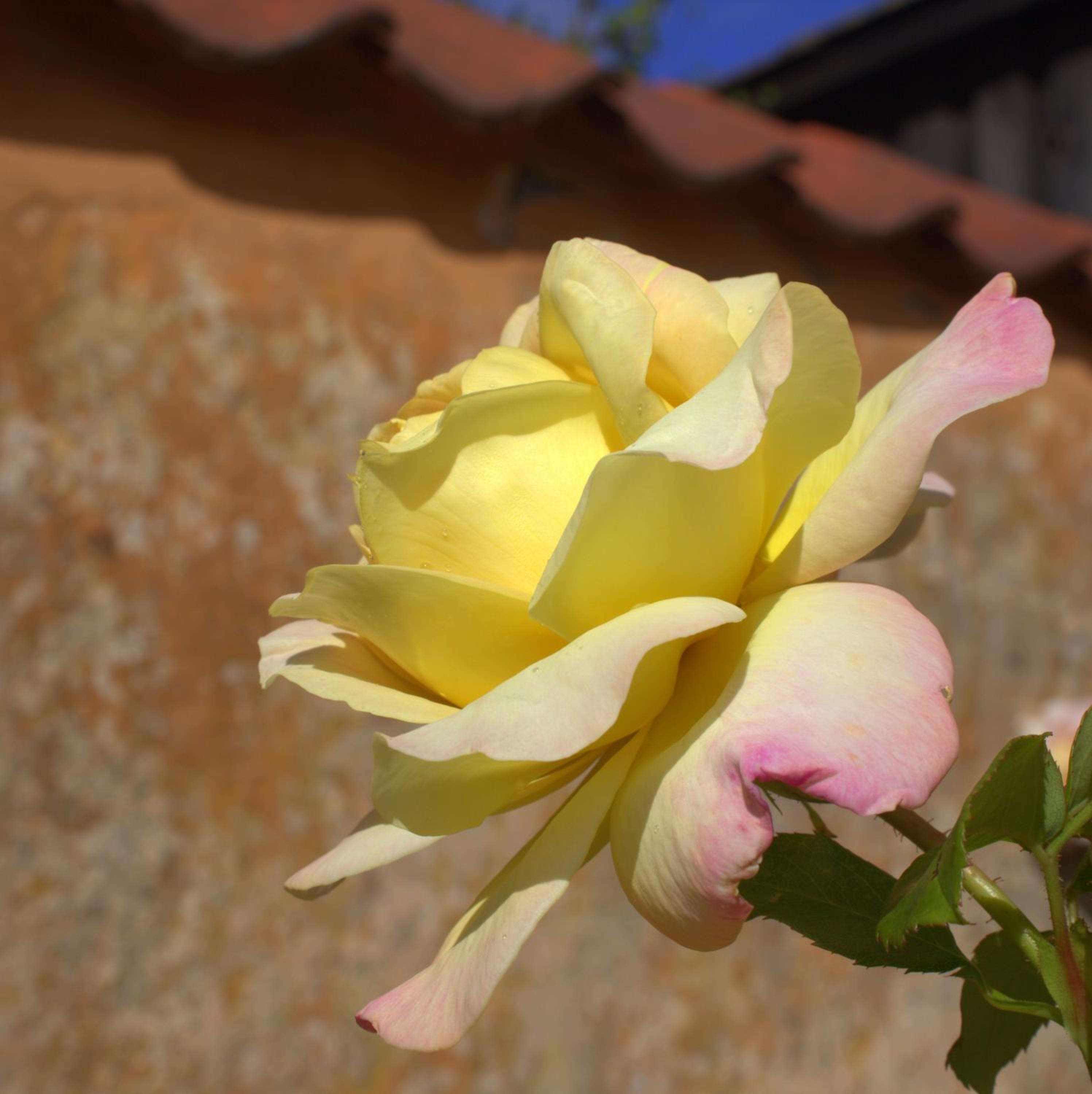 Photo 65