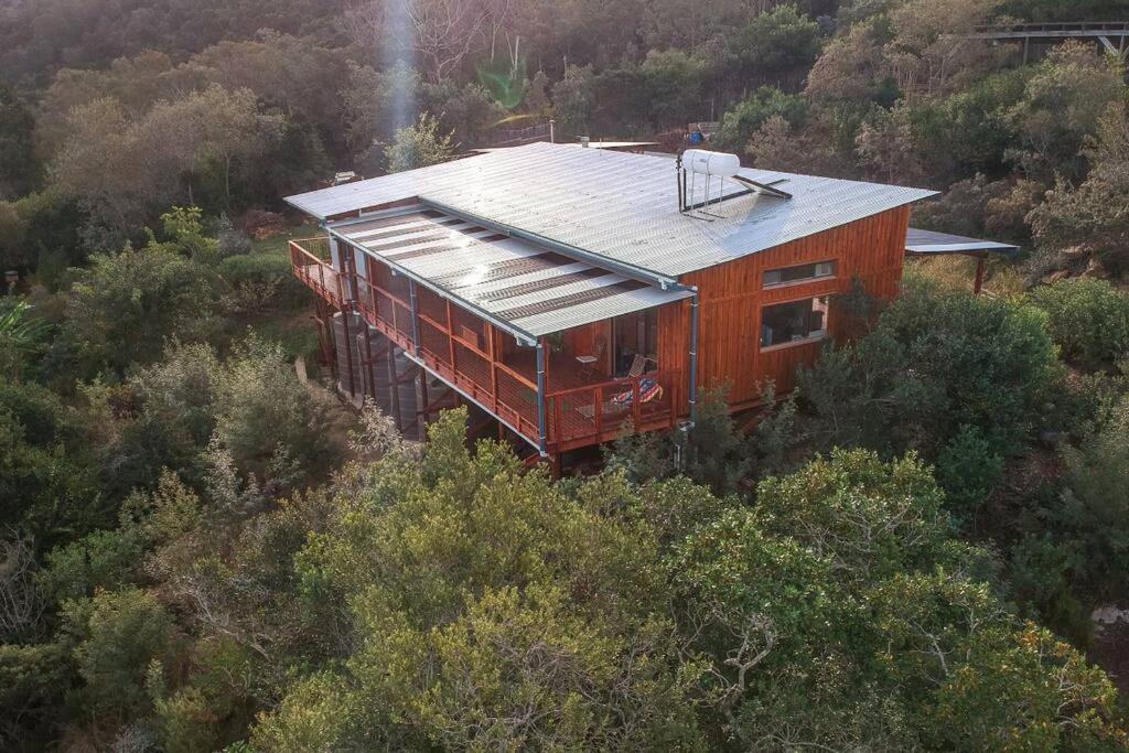 Digital nomad forest dream – Now & Here Farm