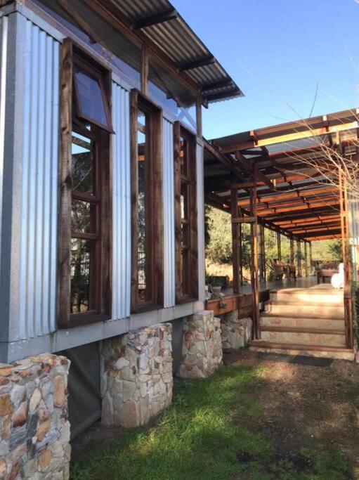 Digital nomad forest dream – Now & Here Farm