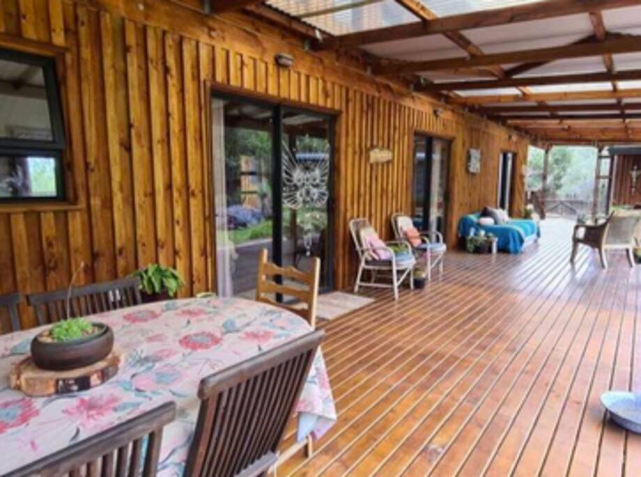 Digital nomad forest dream – Now & Here Farm