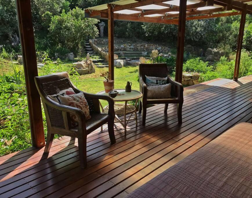 Digital nomad forest dream – Now & Here Farm