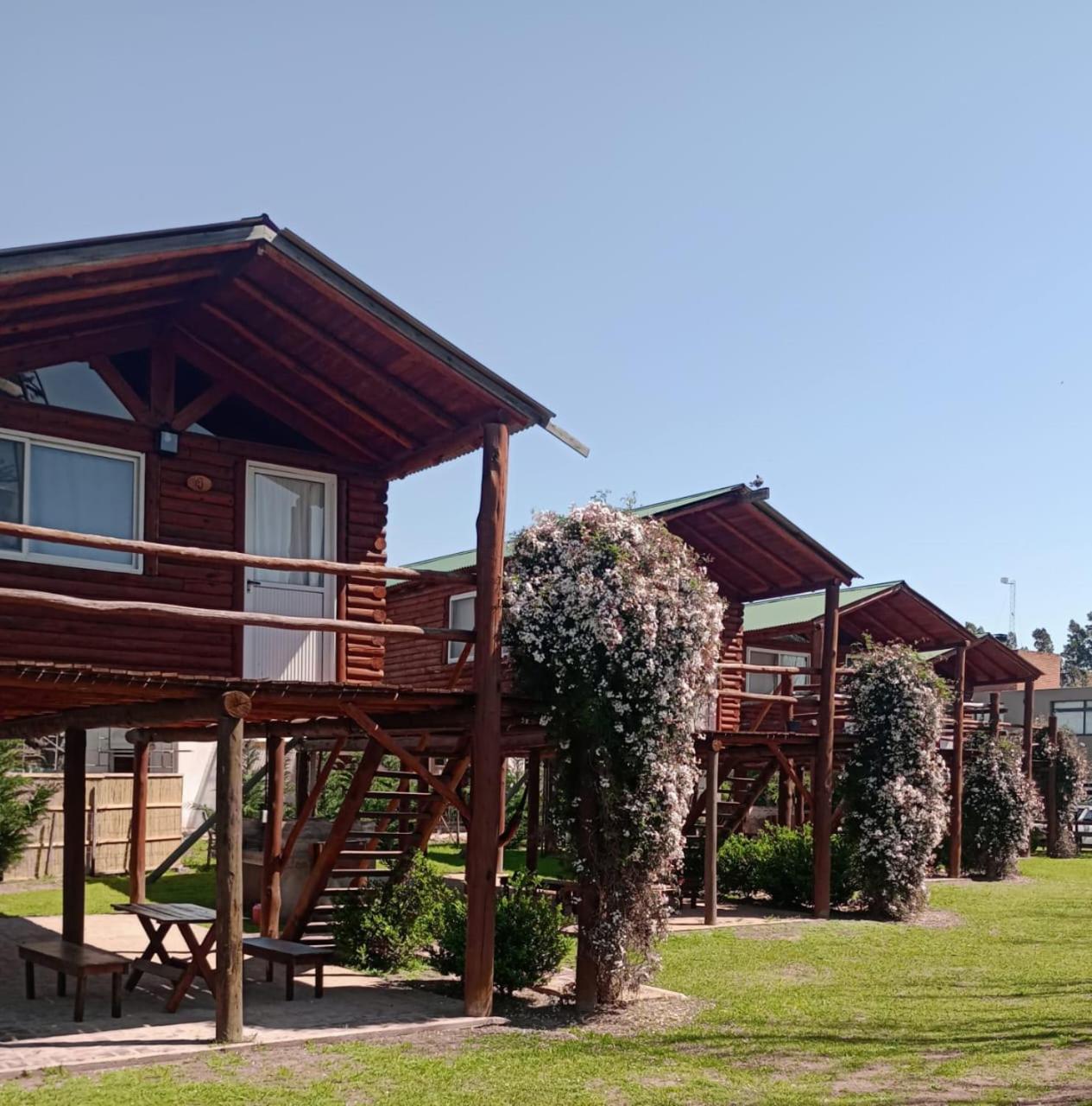 DOS NOGALES