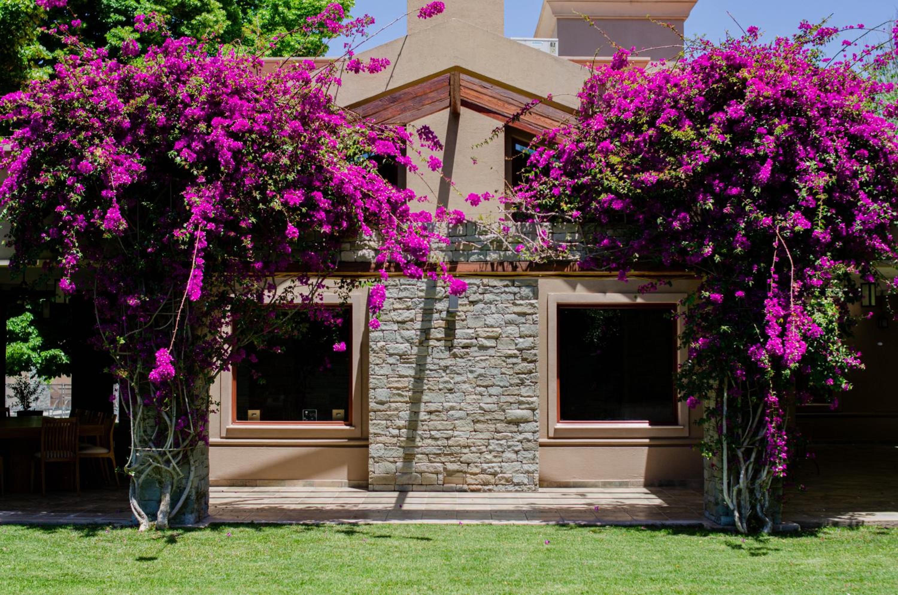 Exclusiva Casa Parque en el corazón de San Rafael