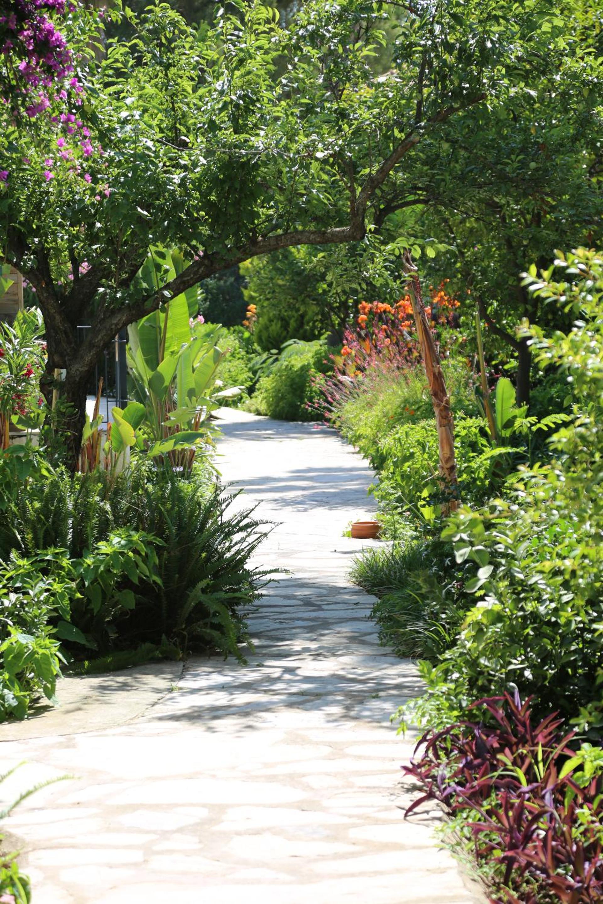garden