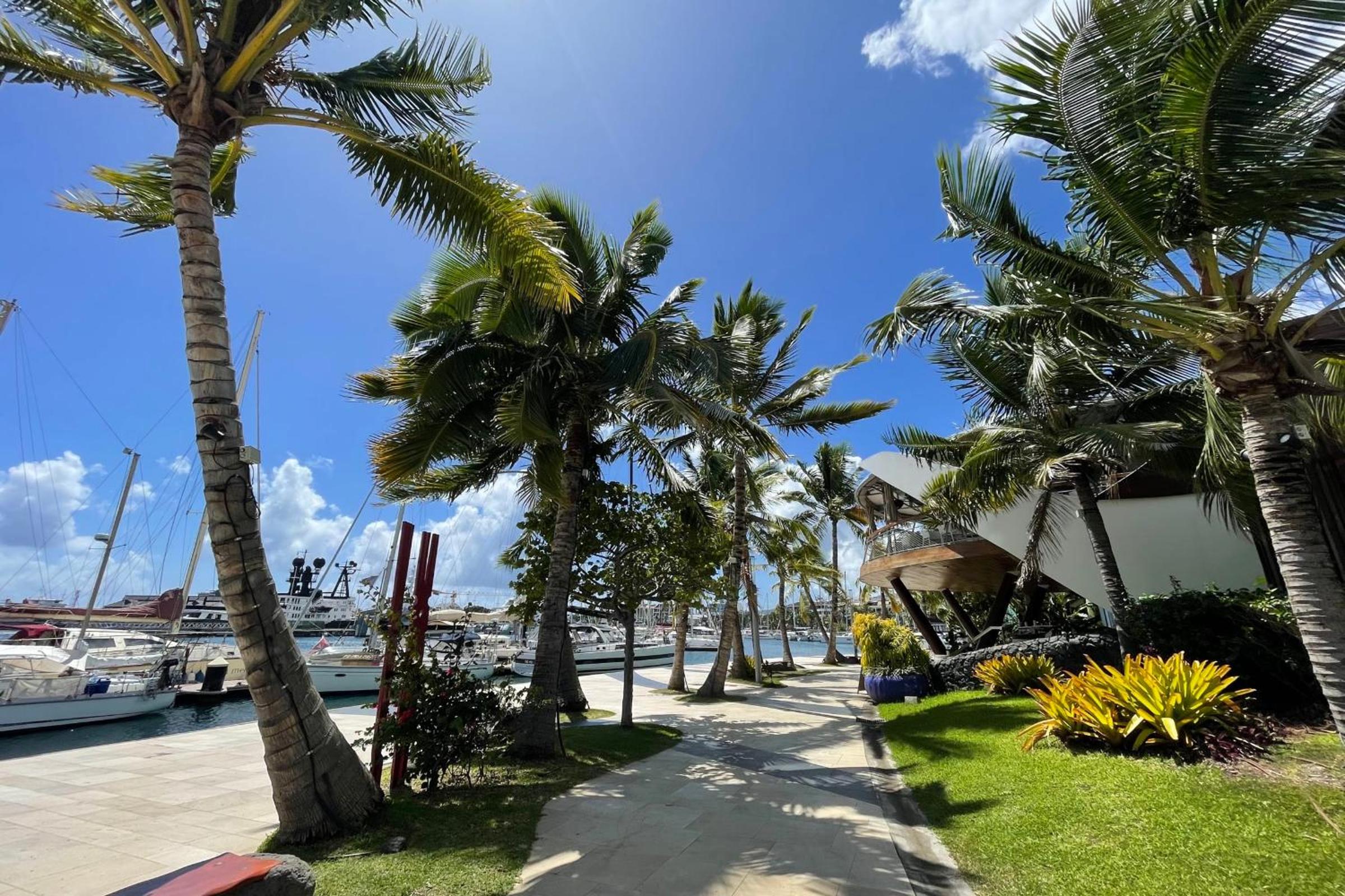 Studio Hanalei City brand new in the center of Papeete WiFi -Netflix -AC view 3