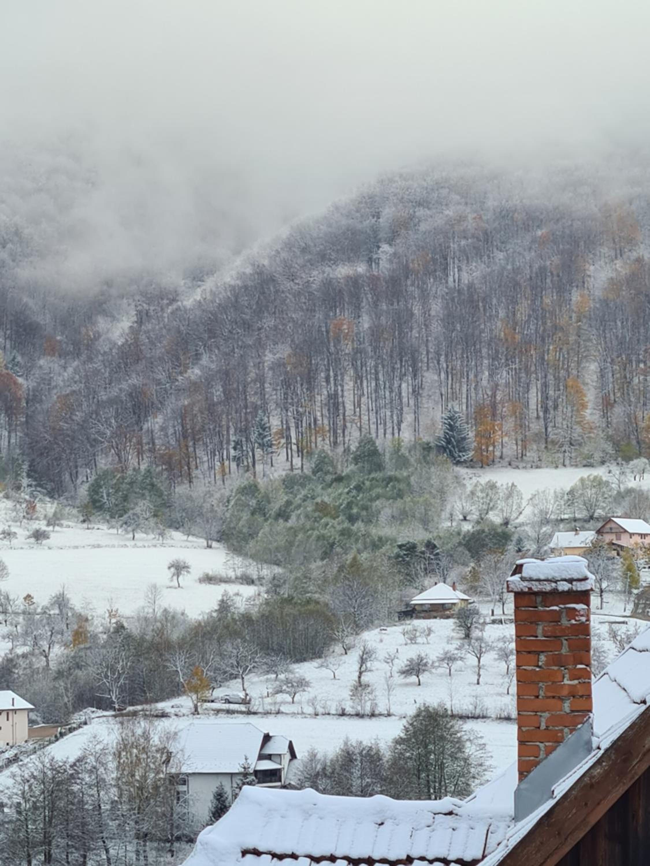 Bran Mountain Living