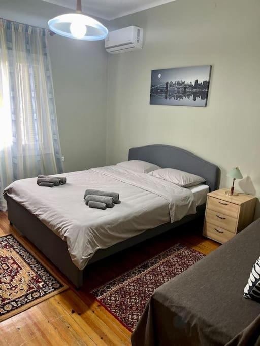 Elena's House