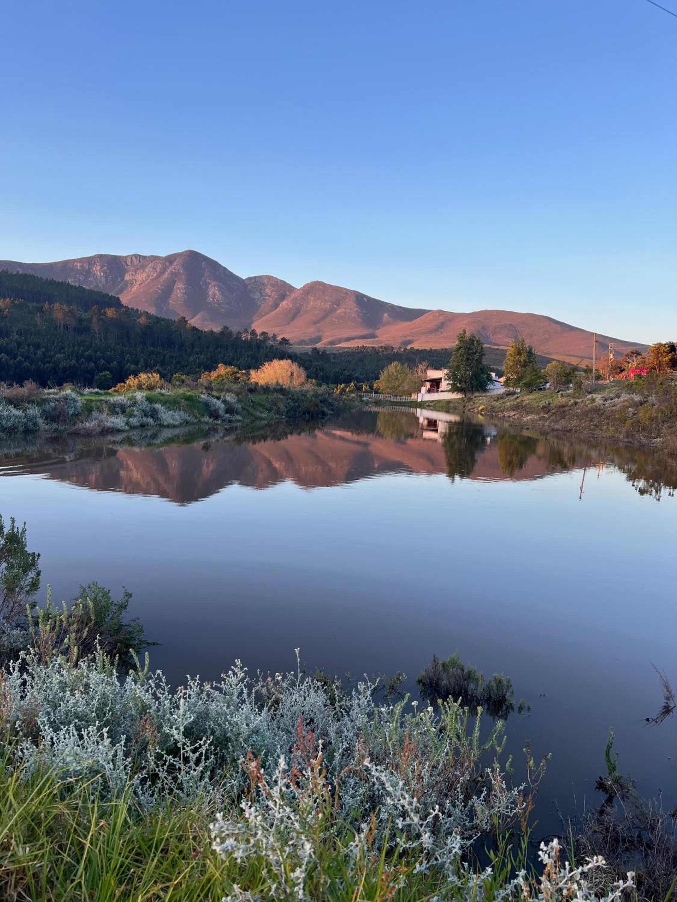Watsonia Cottage at Waboom Family Farm view 4