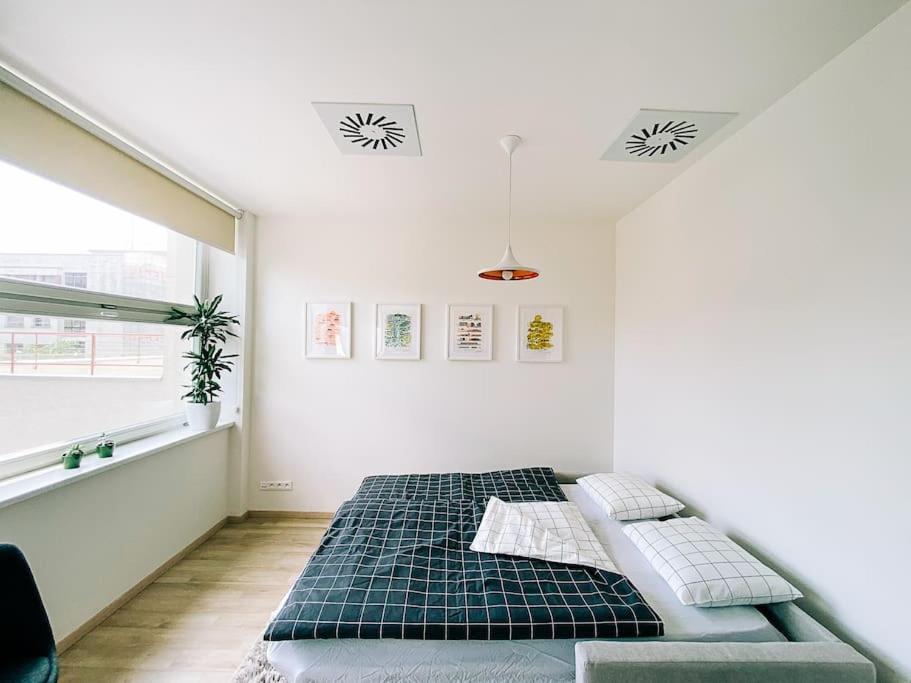 New studio in quiet part of the city center view 5