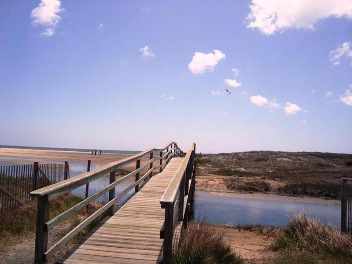 Photo 42