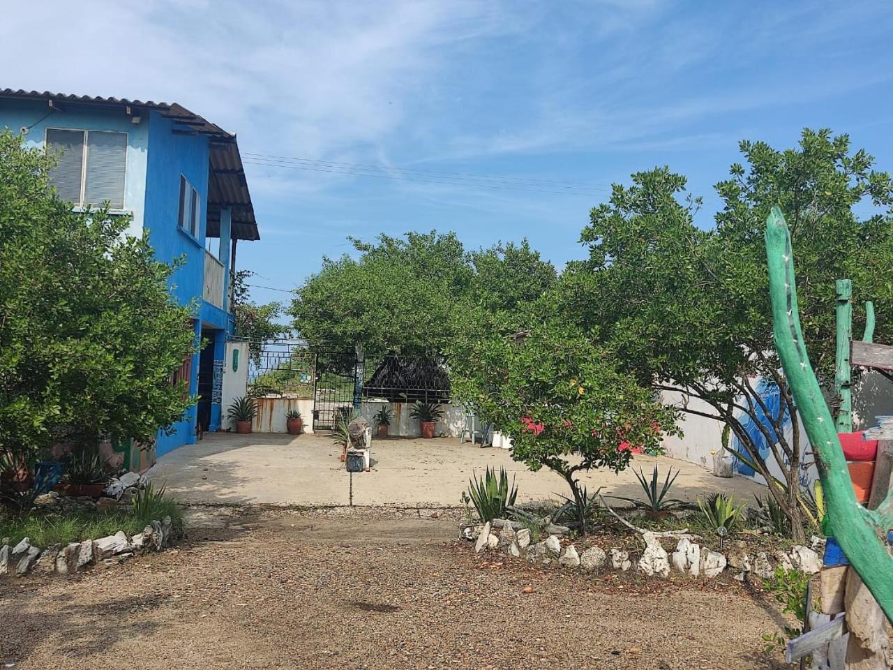 Galerazambahostal