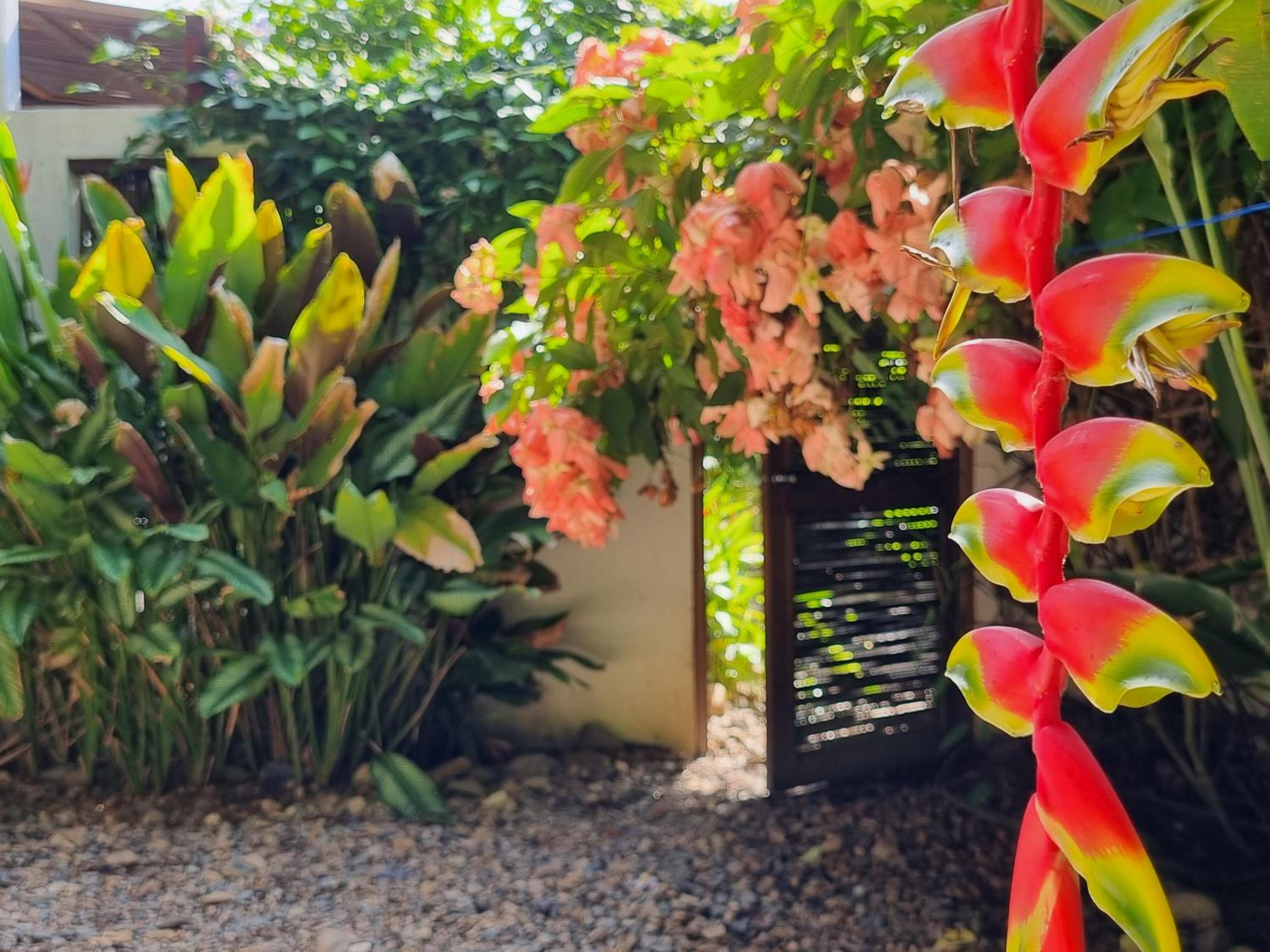 Casas La Floristería