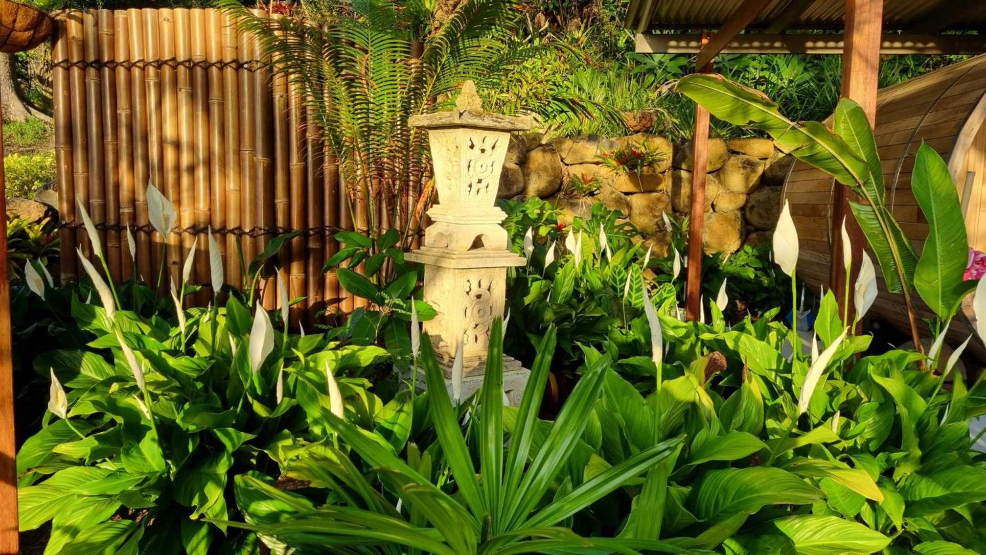 Healing Garden Retreat Tallebudgera Valley 