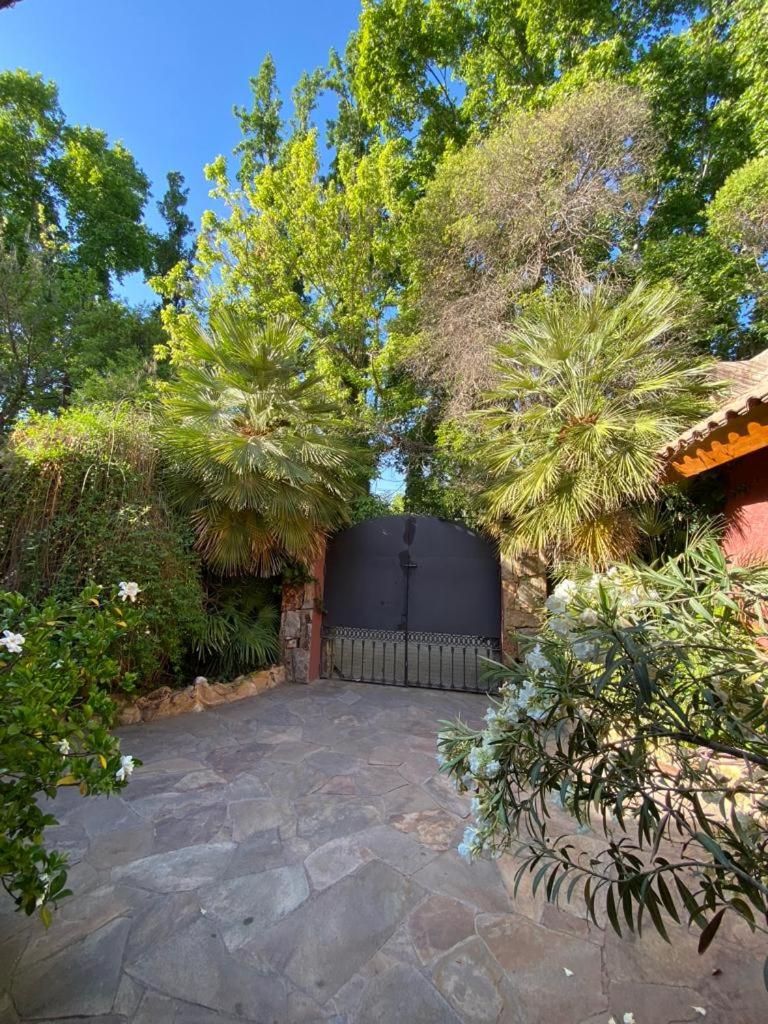 La casita en el parque