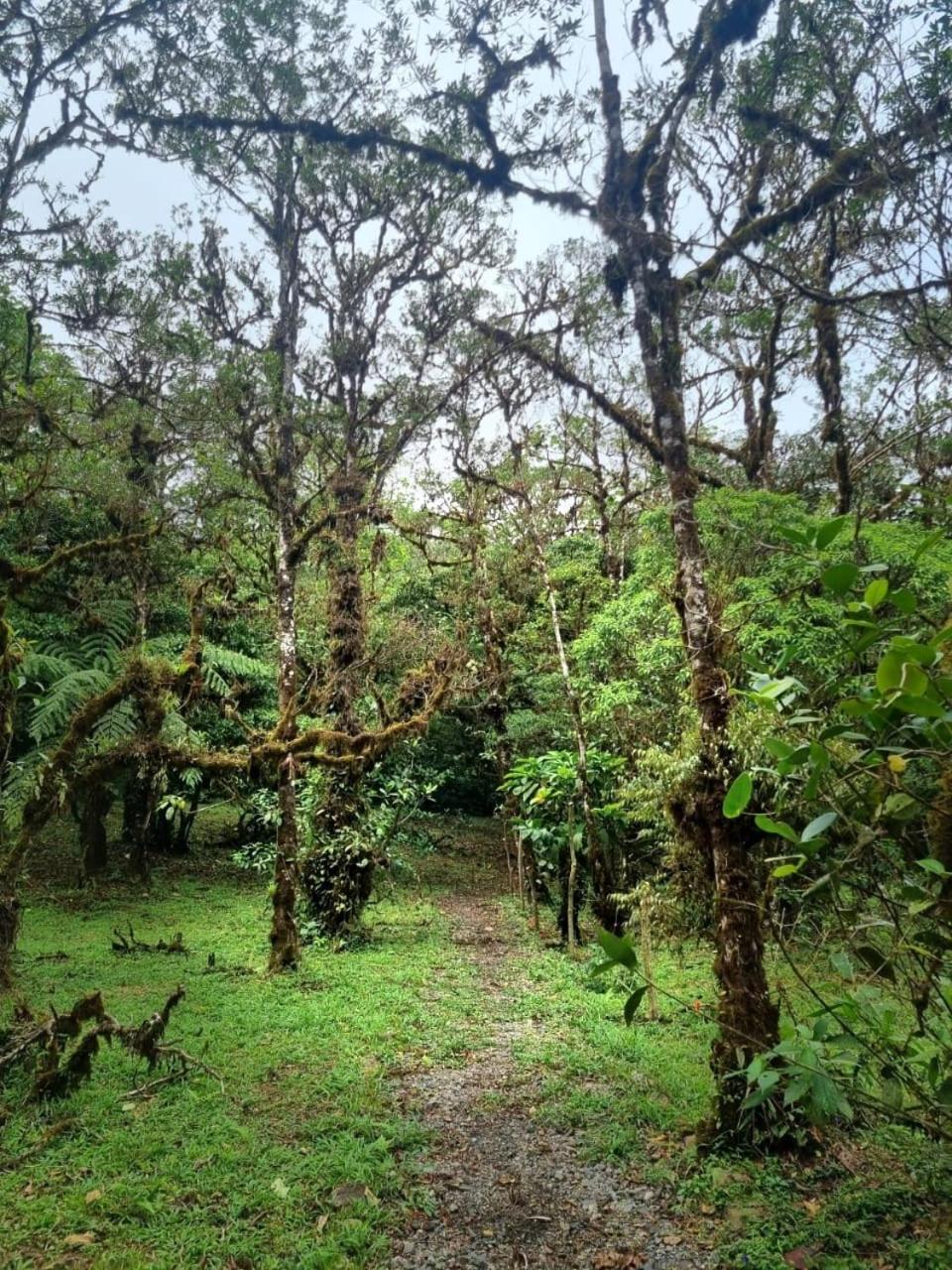 Refugio La Paz EcoGlamping
