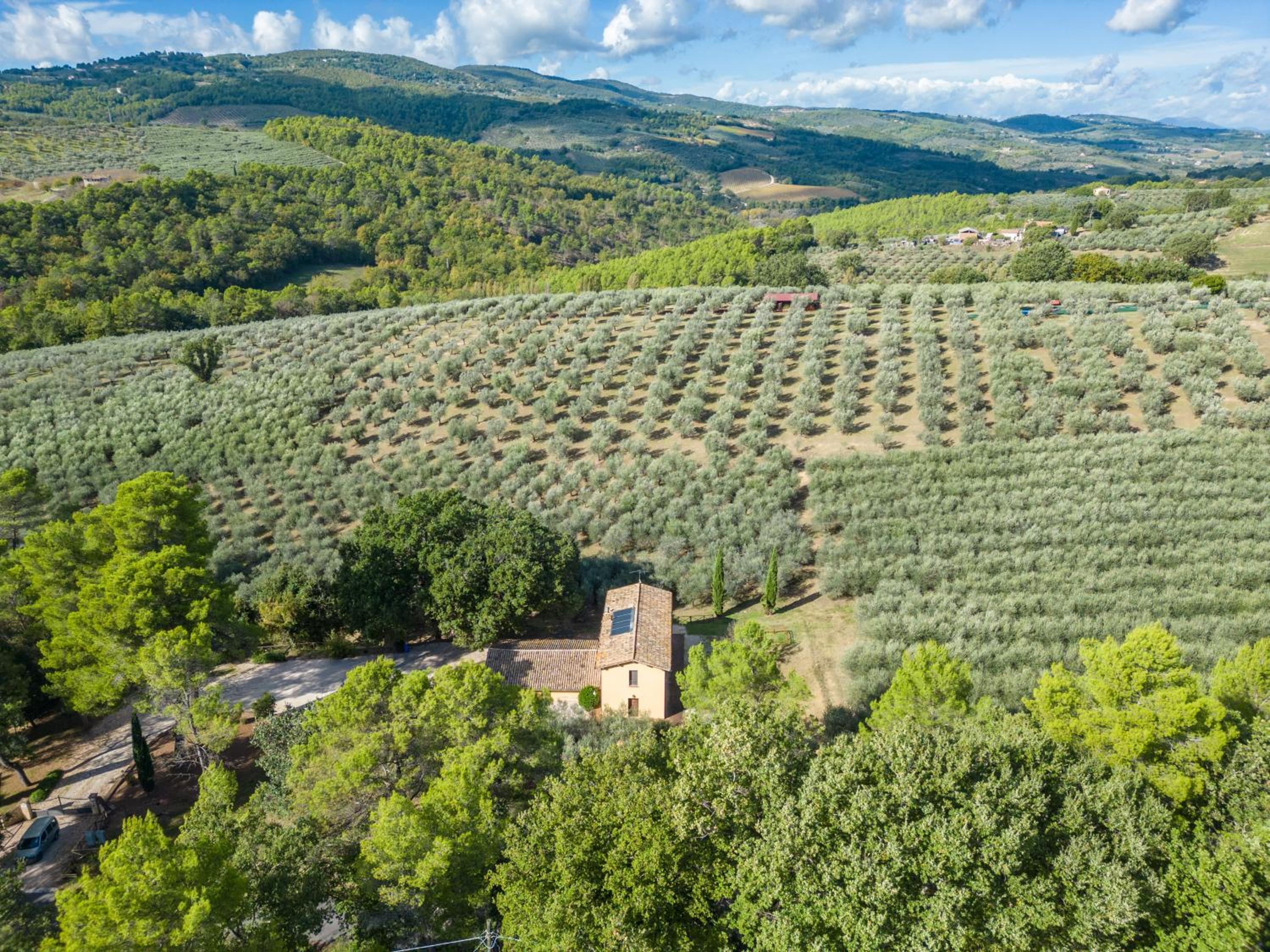 Agriturismo I Getsemani