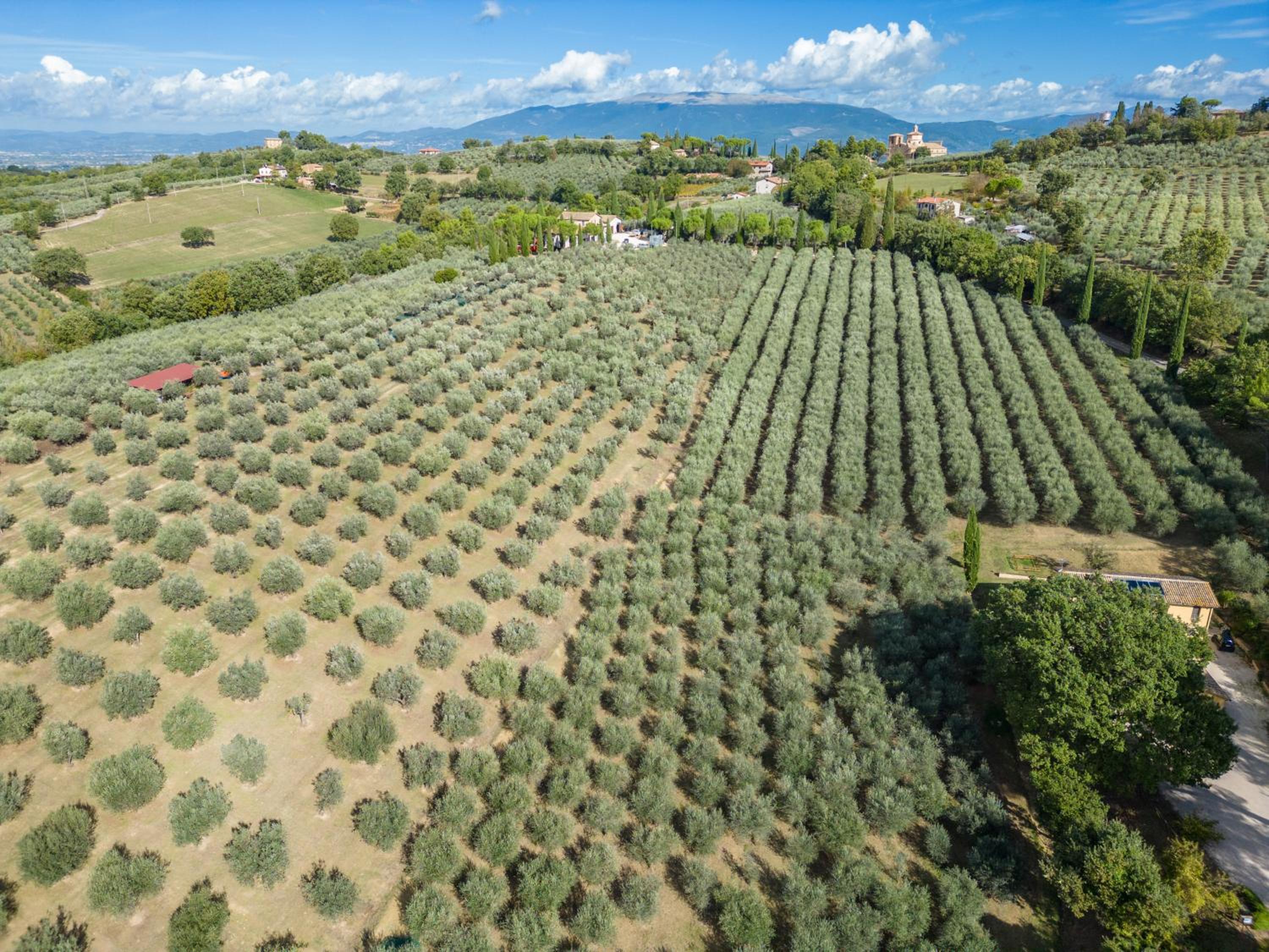Agriturismo I Getsemani