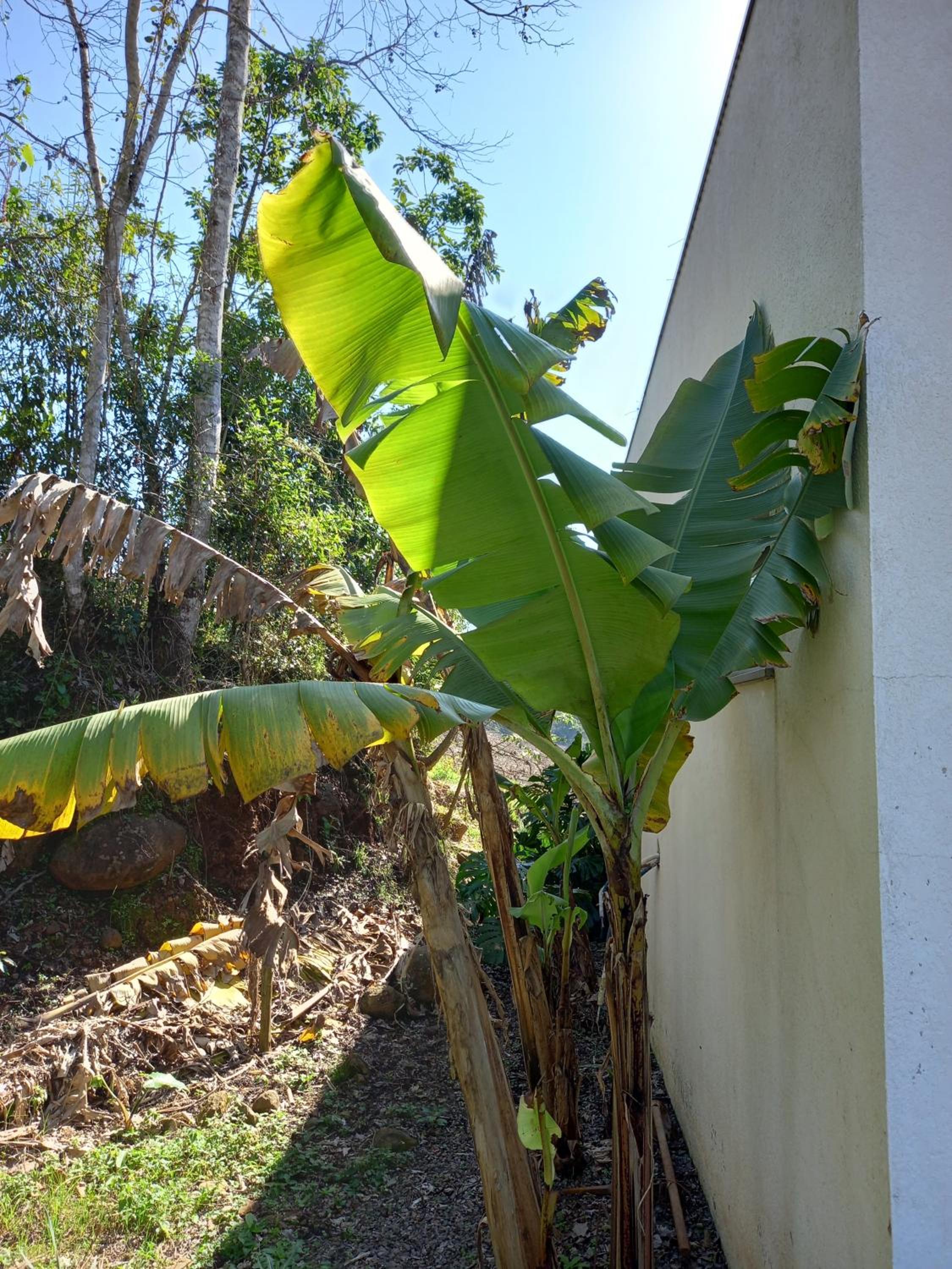 Pousada IMcasa 430