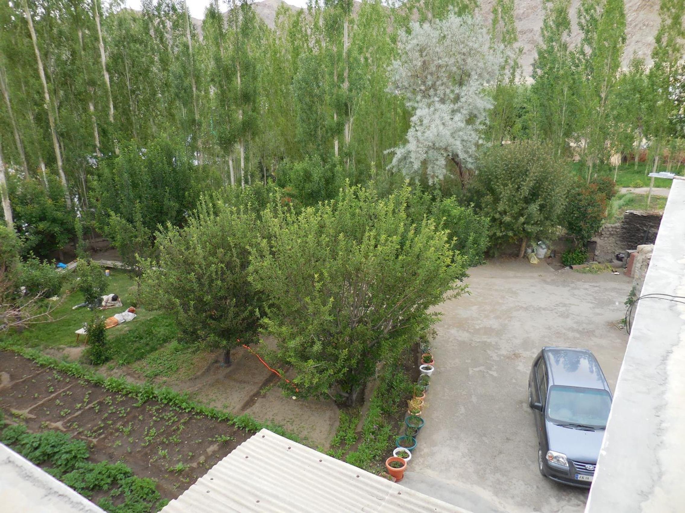 Photo 34