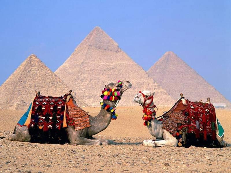 Jasmine pyramids View