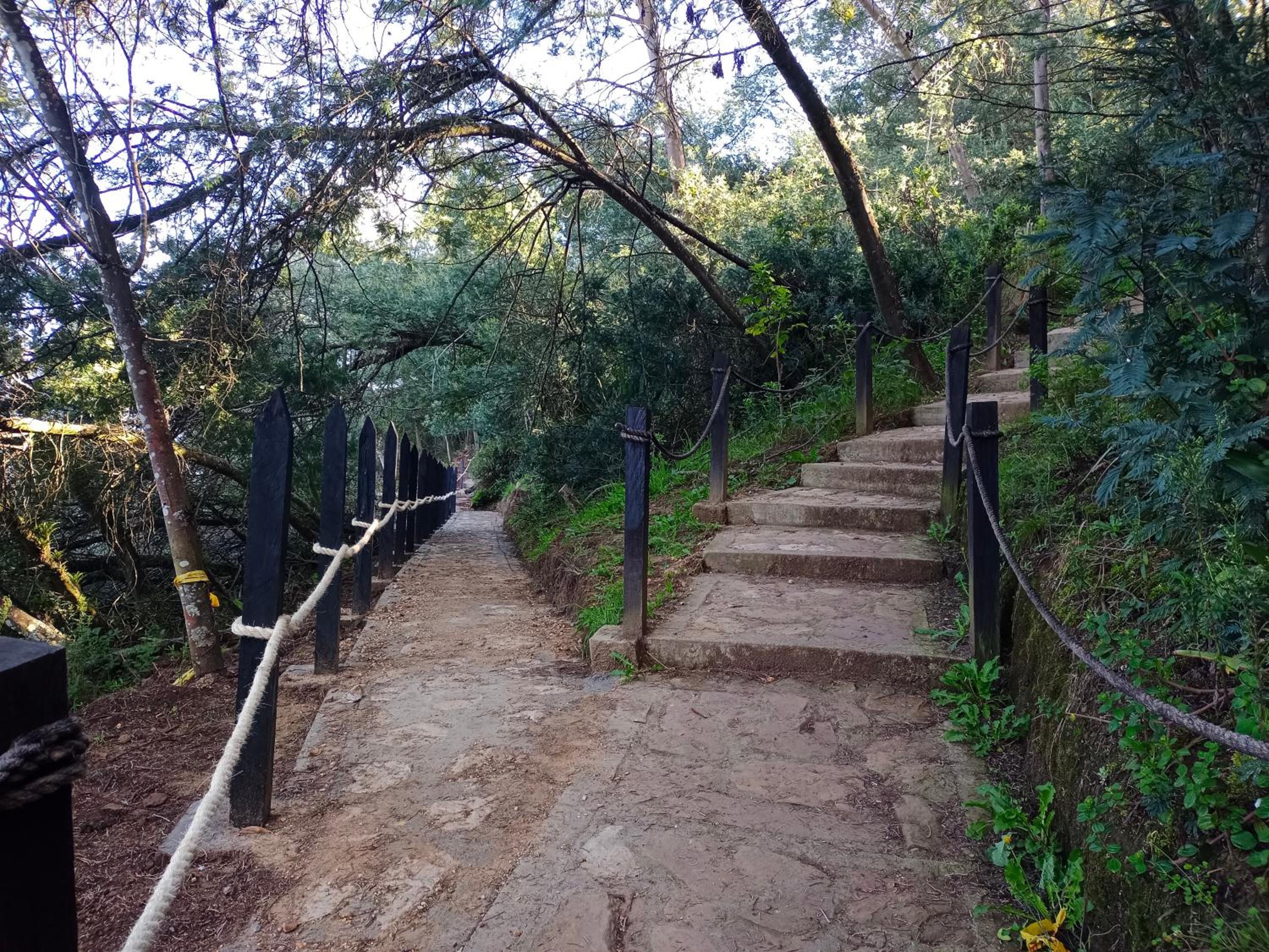 Hospedaje Rodal