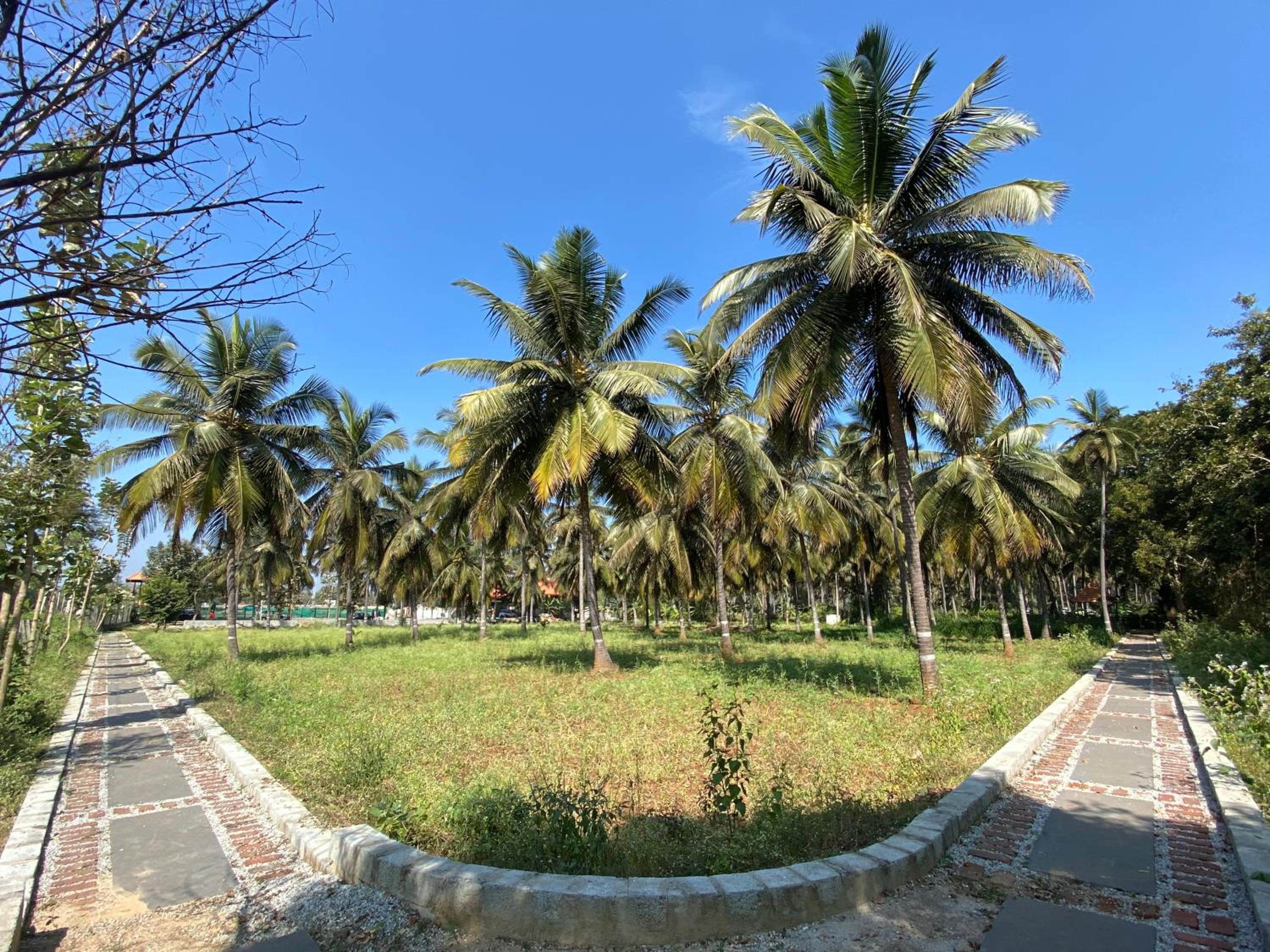 Chakra farms view 2