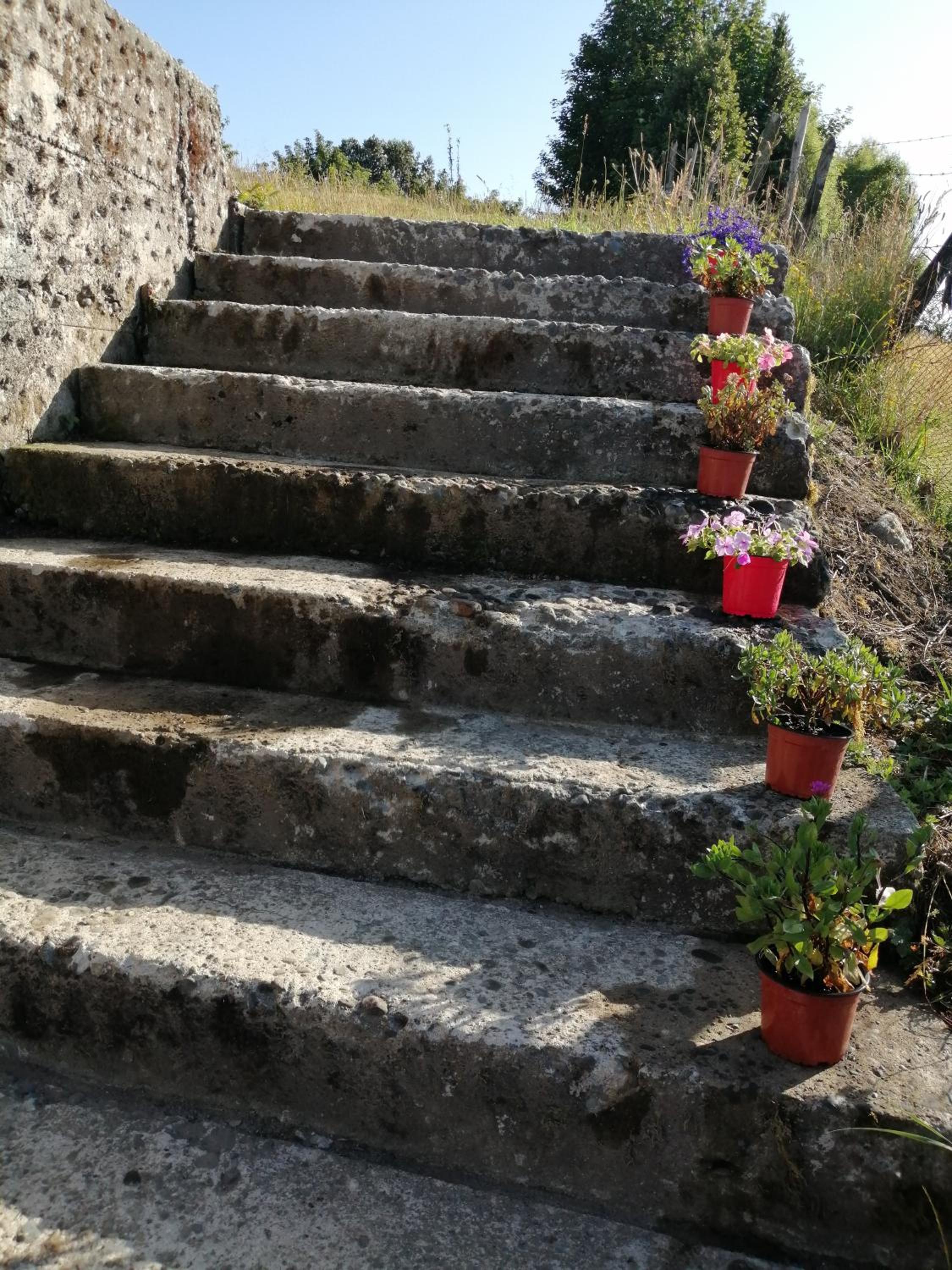 CABAÑAS TRAPEN
