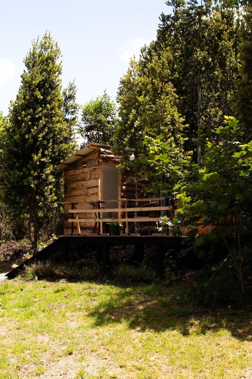 CABAÑAS TRAPEN