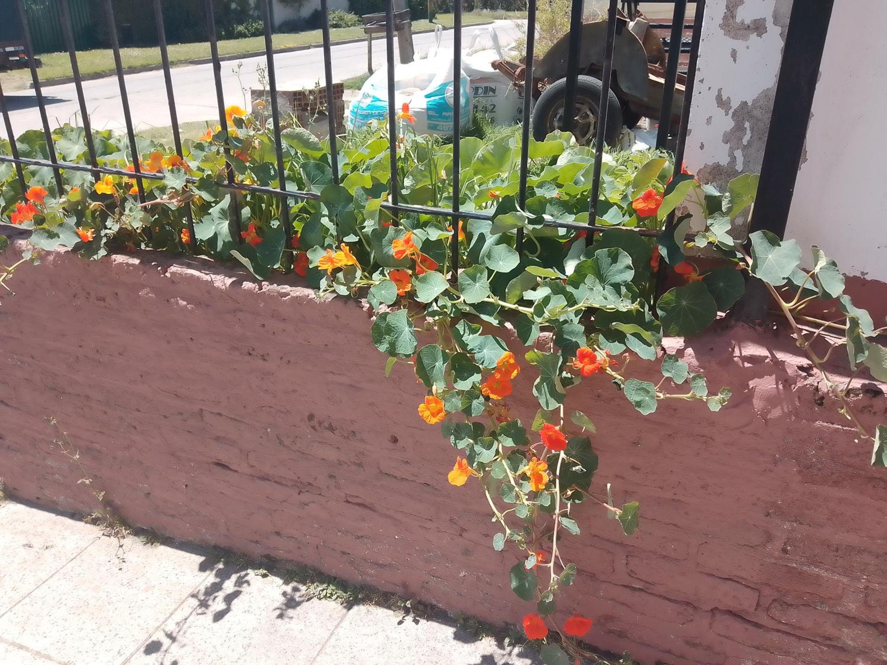 Hermosa casa Alpino!!!!