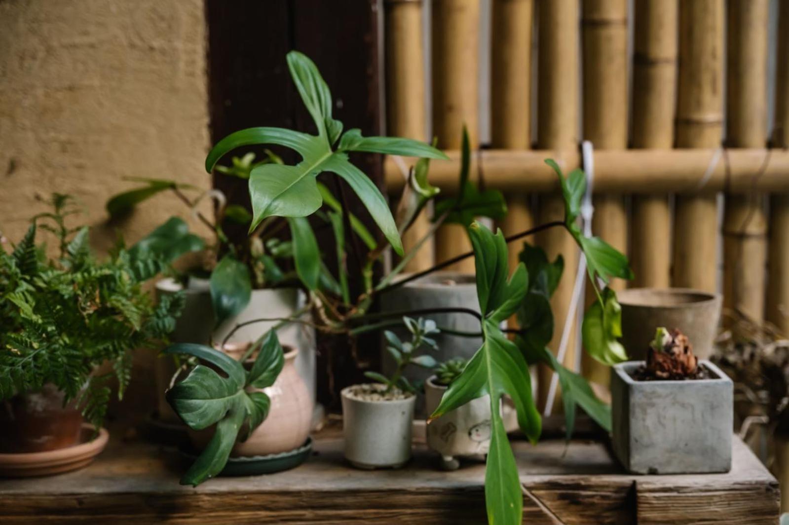 Hangzhou XianQingShan Homestay Westlake